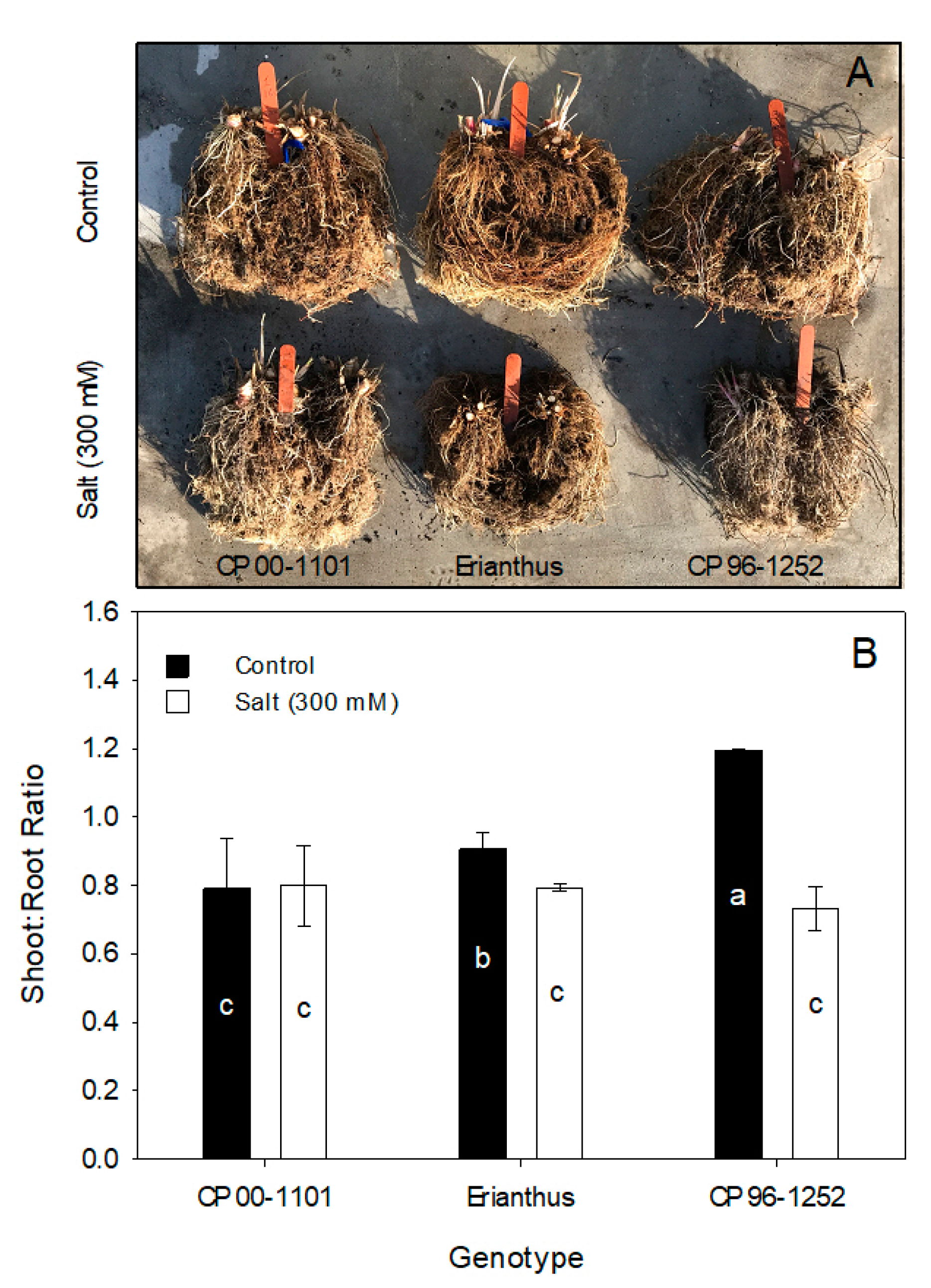 Agriculture 10 00608 g004 Agriculture 10 00608 g004