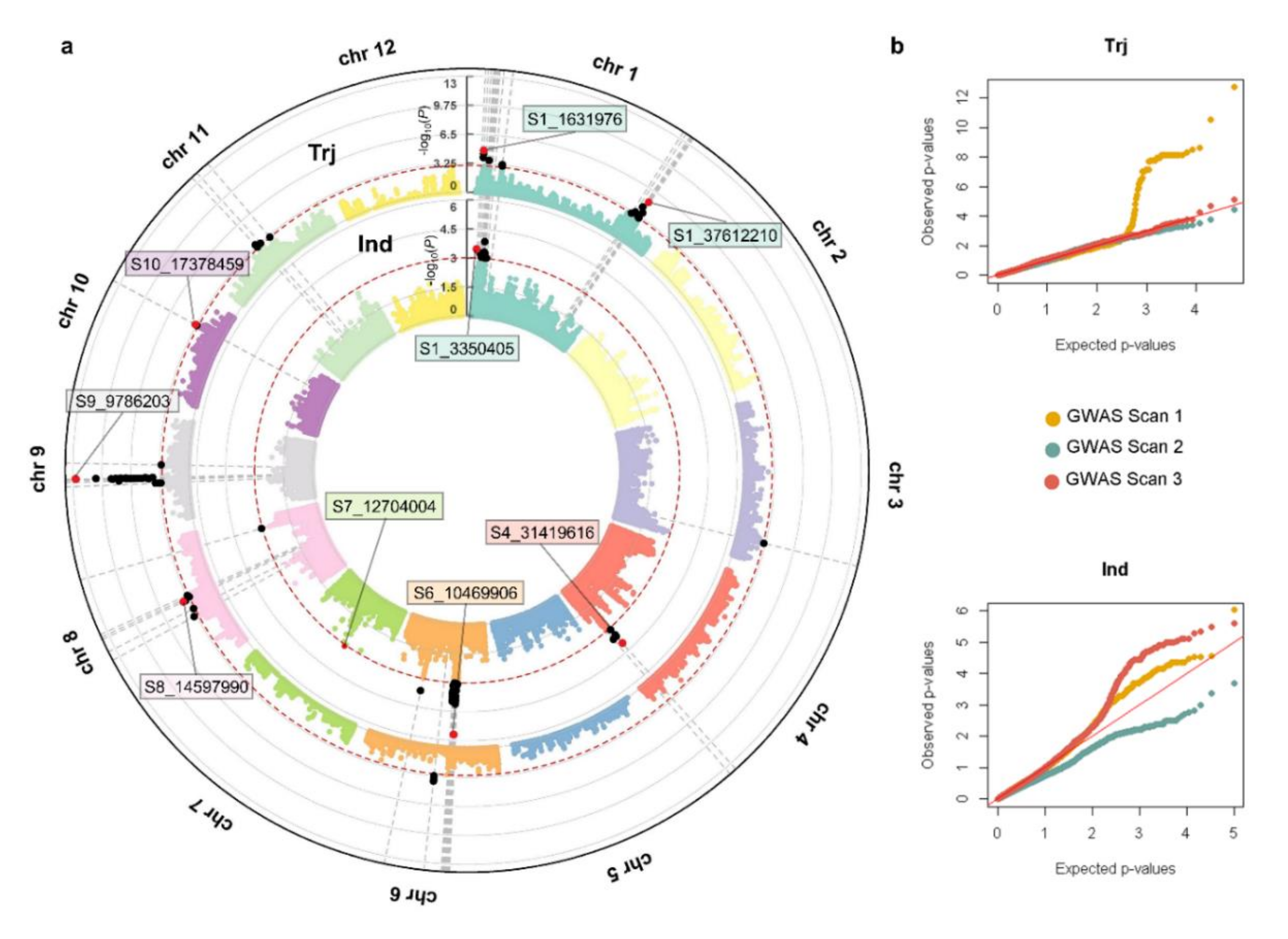 Agriculture 10 00622 g003 Agriculture 10 00622 g003