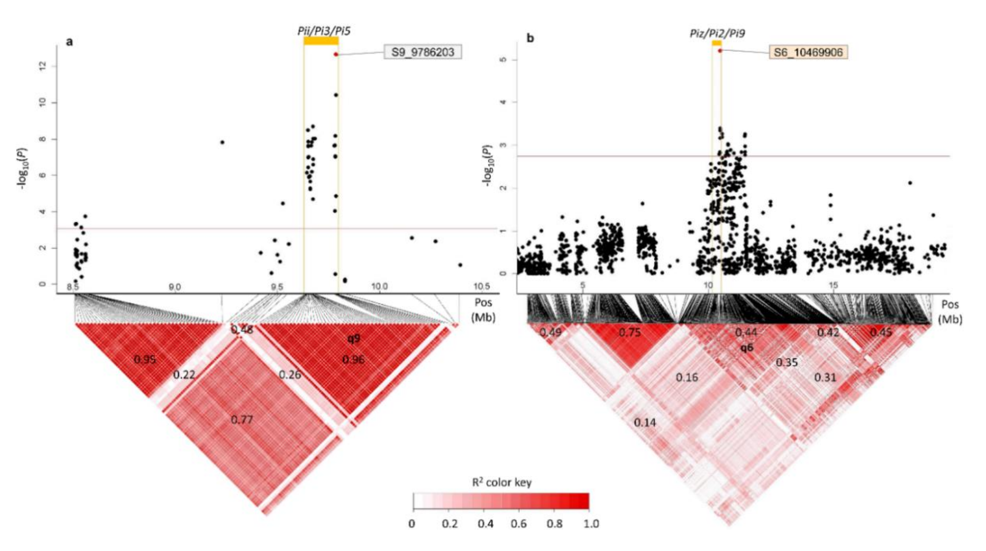 Agriculture 10 00622 g004 Agriculture 10 00622 g004