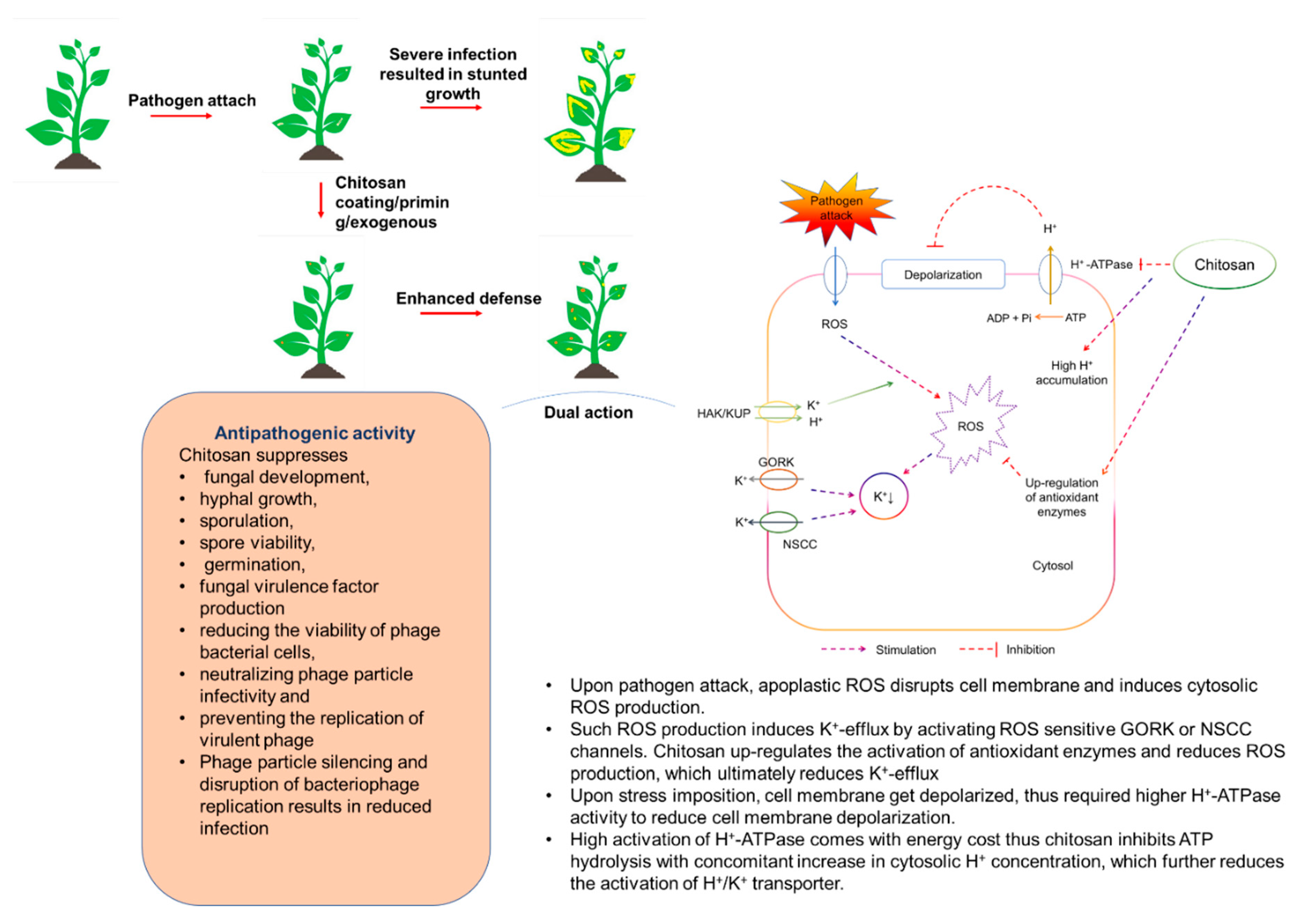 Agriculture 10 00624 g002 Agriculture 10 00624 g002