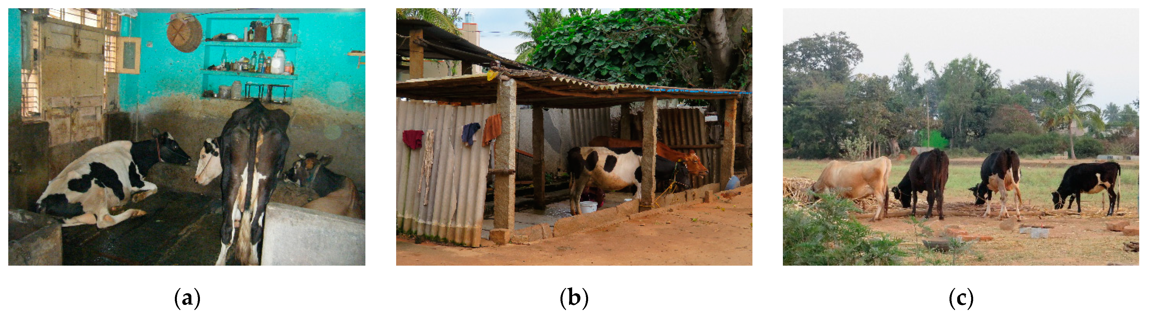 Agriculture 10 00628 g003