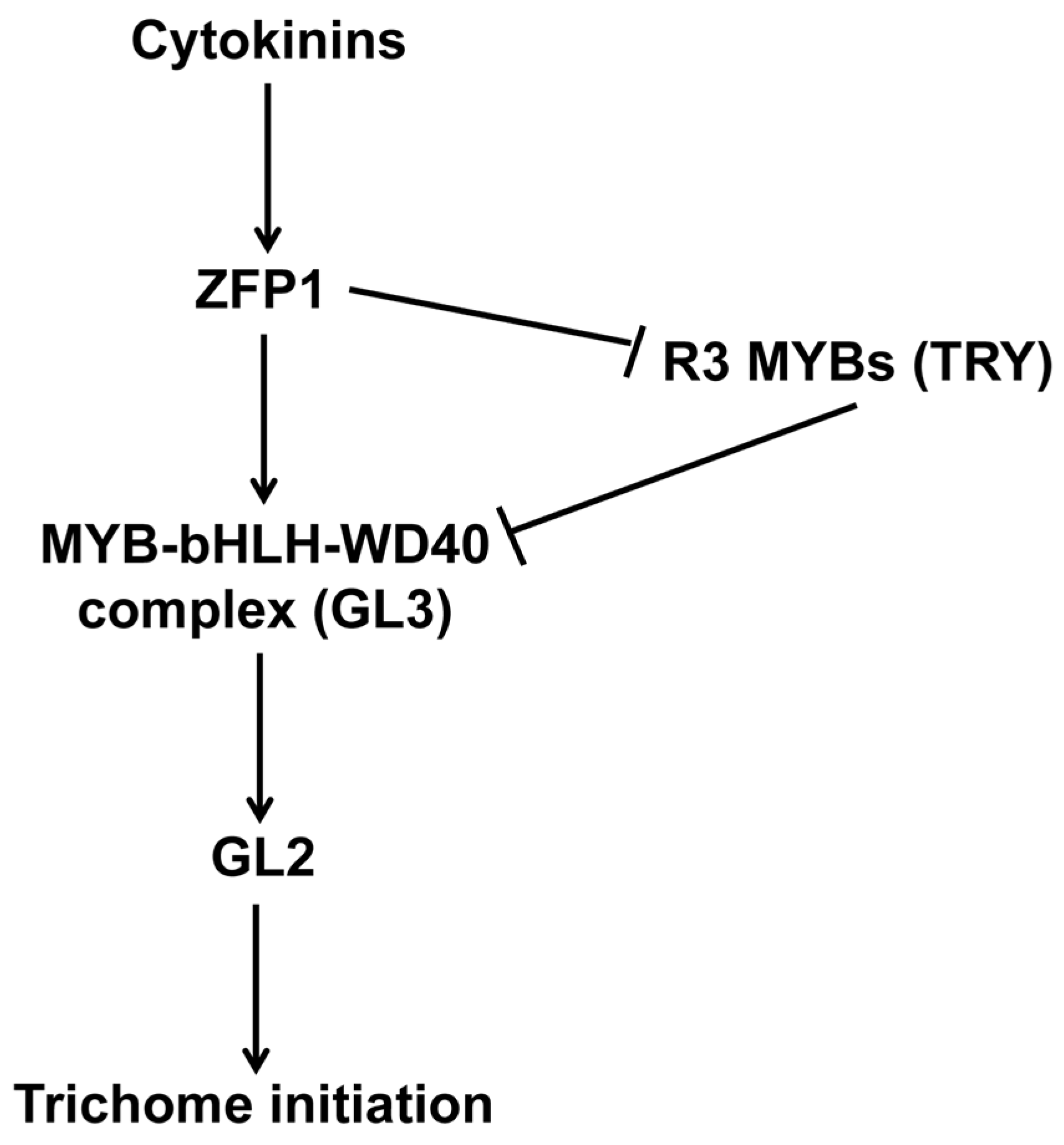 Agriculture 10 00645 g008 Agriculture 10 00645 g008
