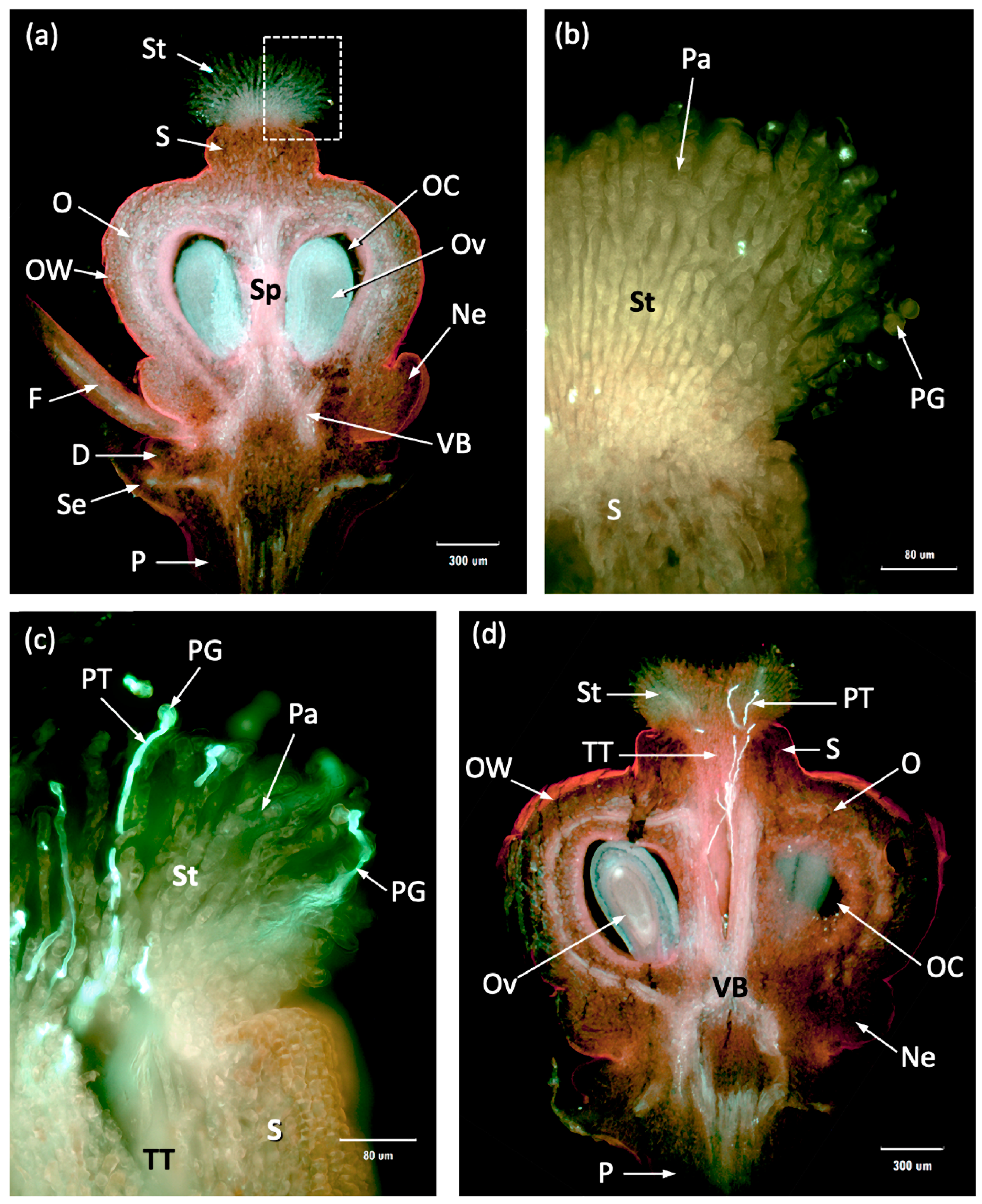 Agriculture 10 00647 g005