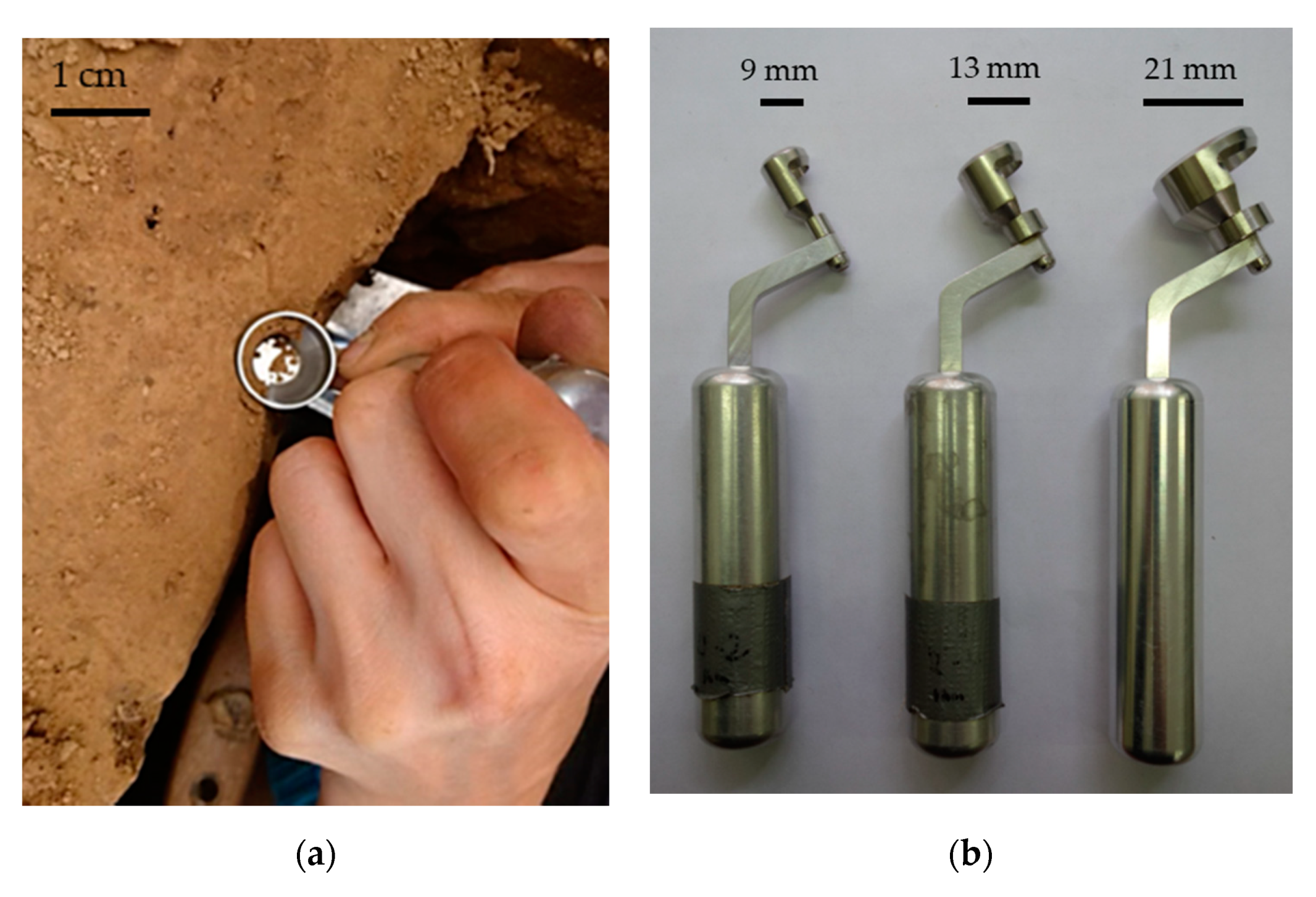 Agriculture 10 00650 g001 Agriculture 10 00650 g001