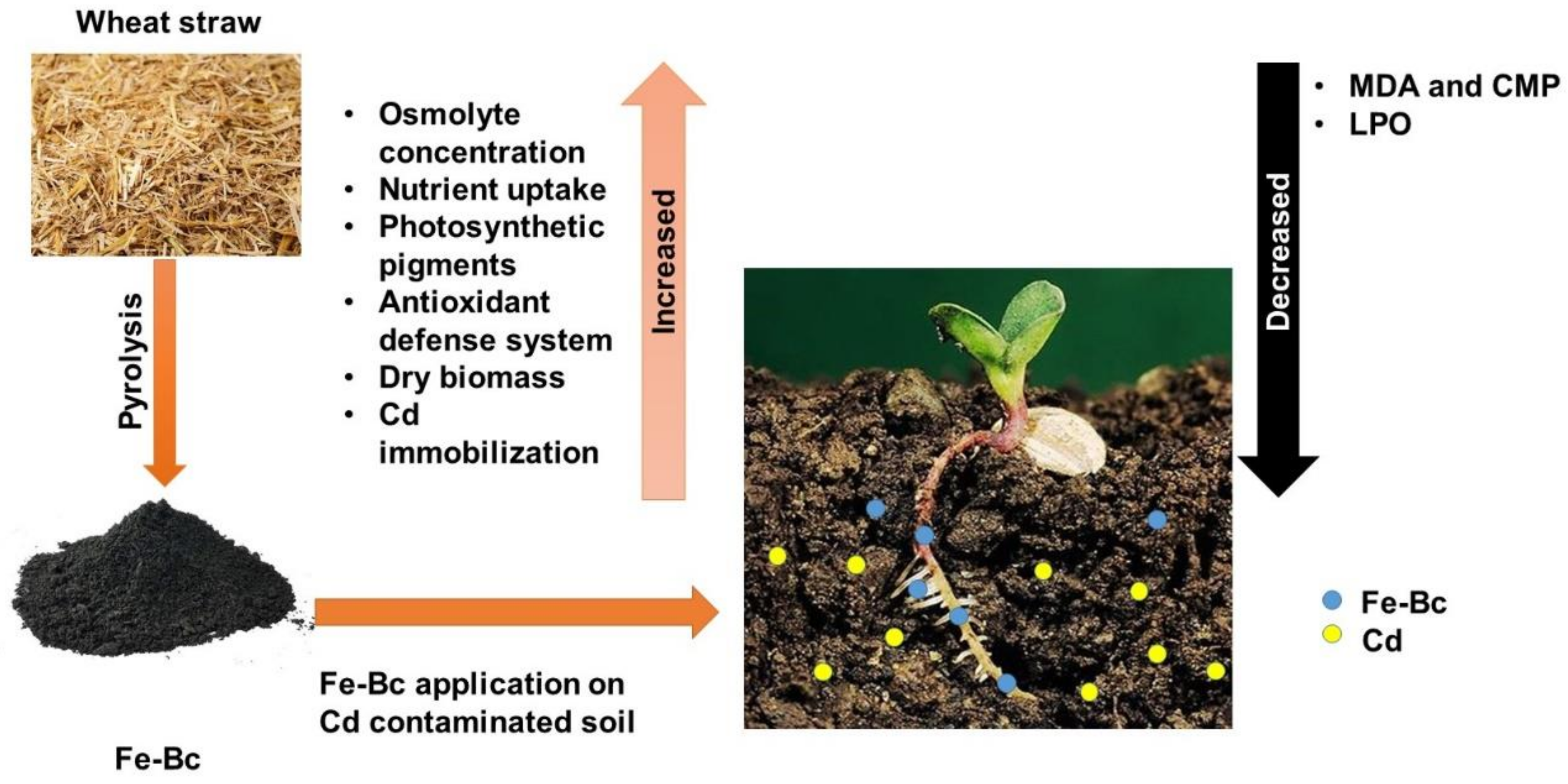 Agriculture 11 00001 g005 Agriculture 11 00001 g005
