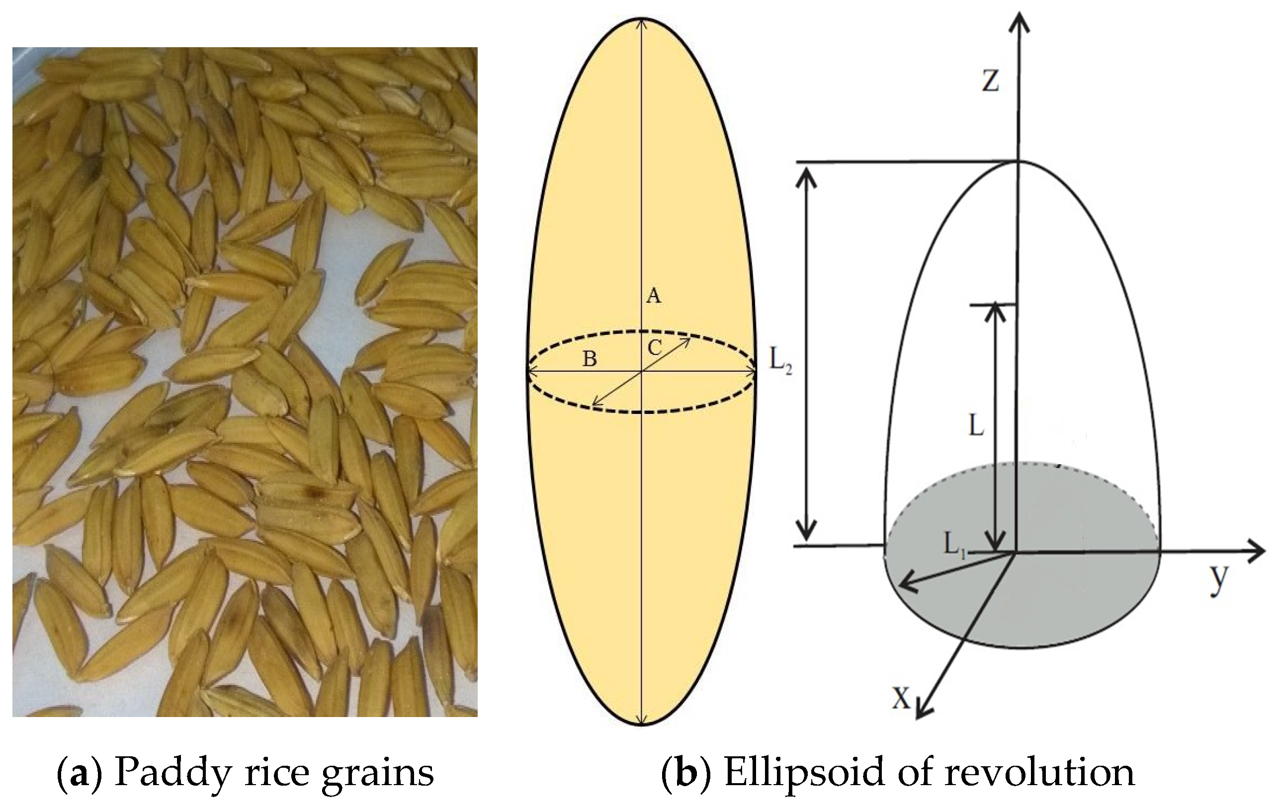 Agriculture 11 00008 g002