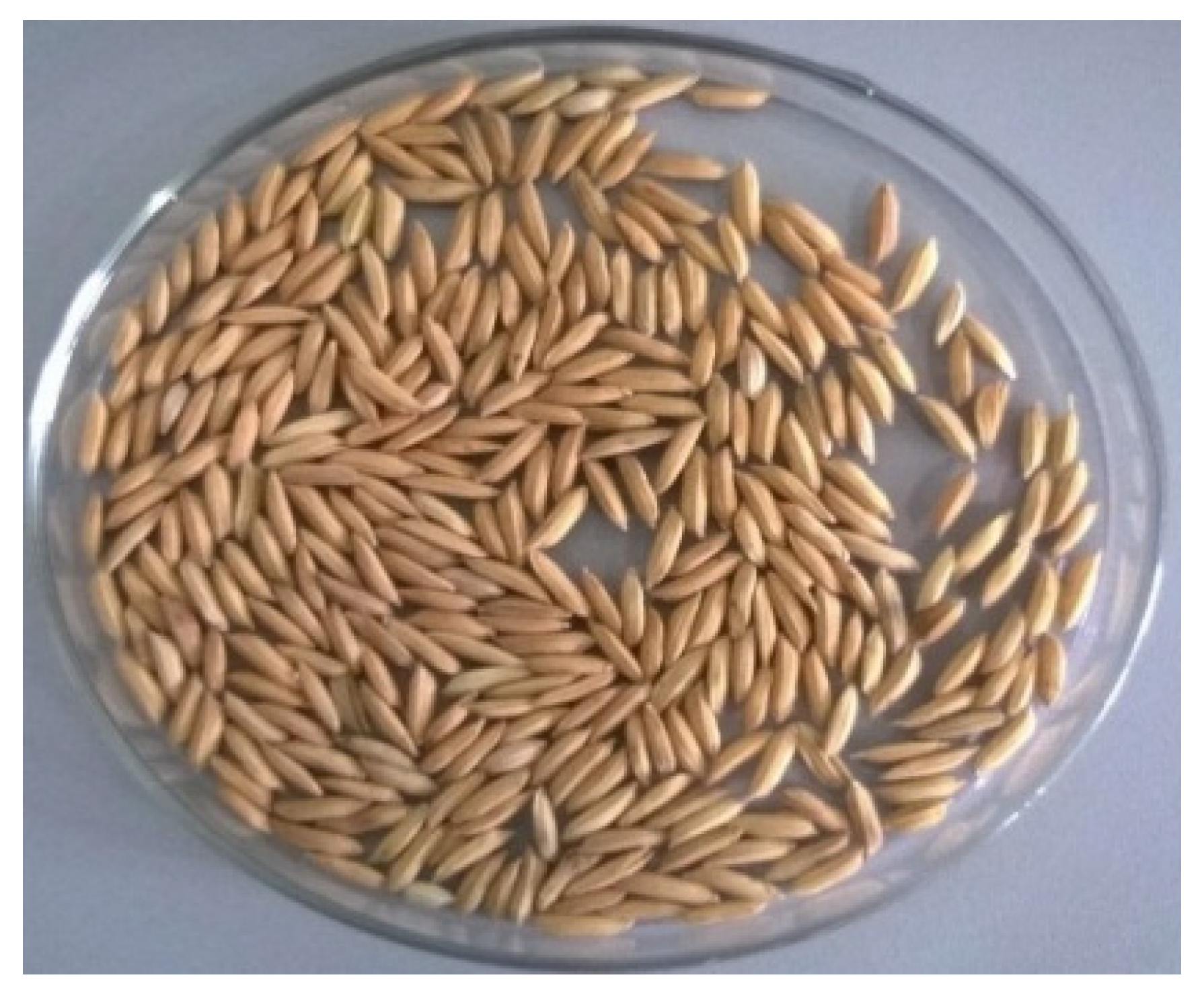 Agriculture 11 00008 g007