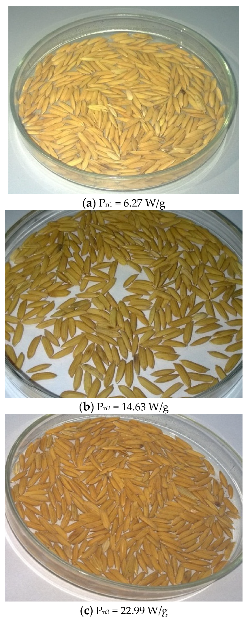 Agriculture 11 00008 g008