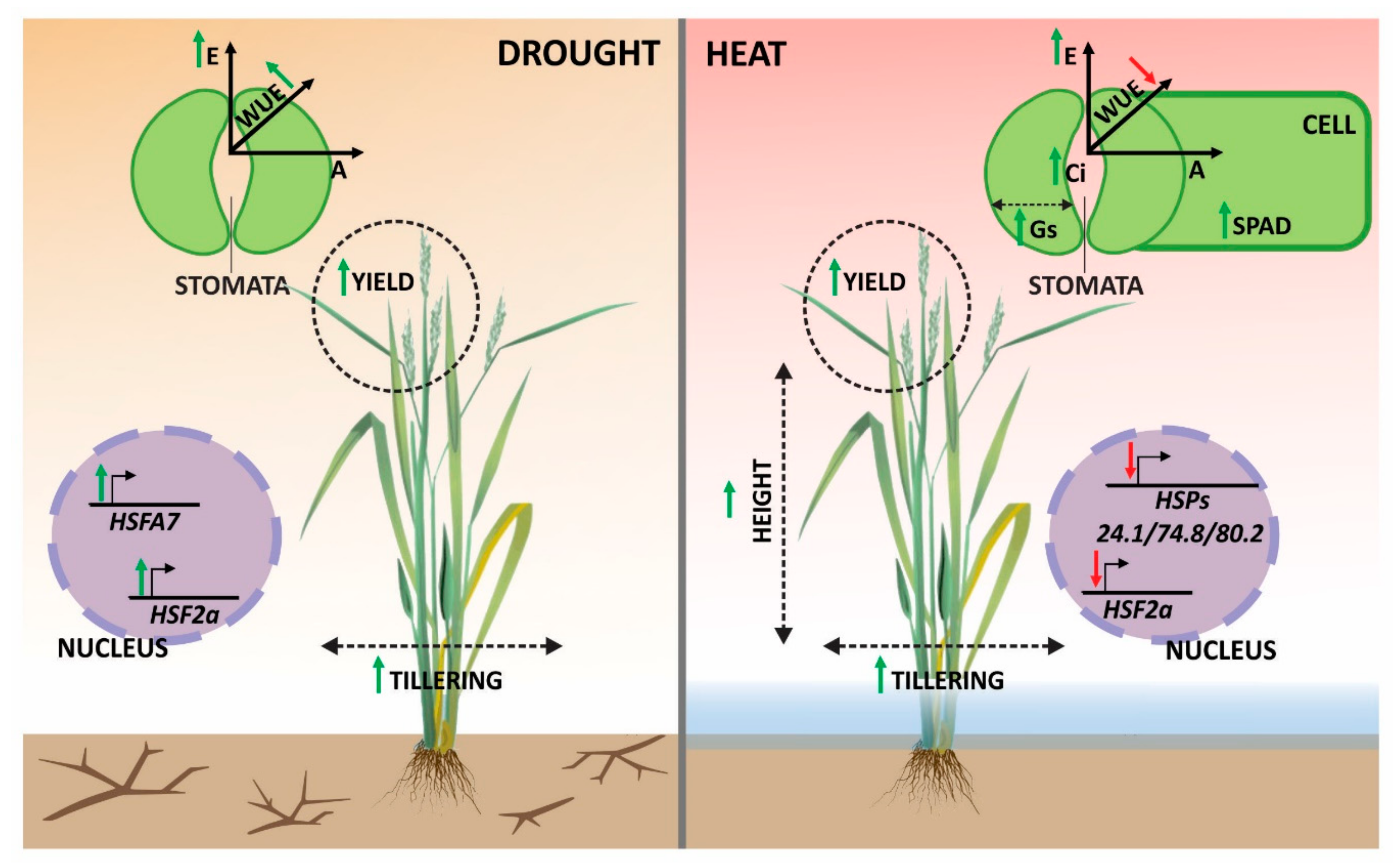 Agriculture 11 00009 g007