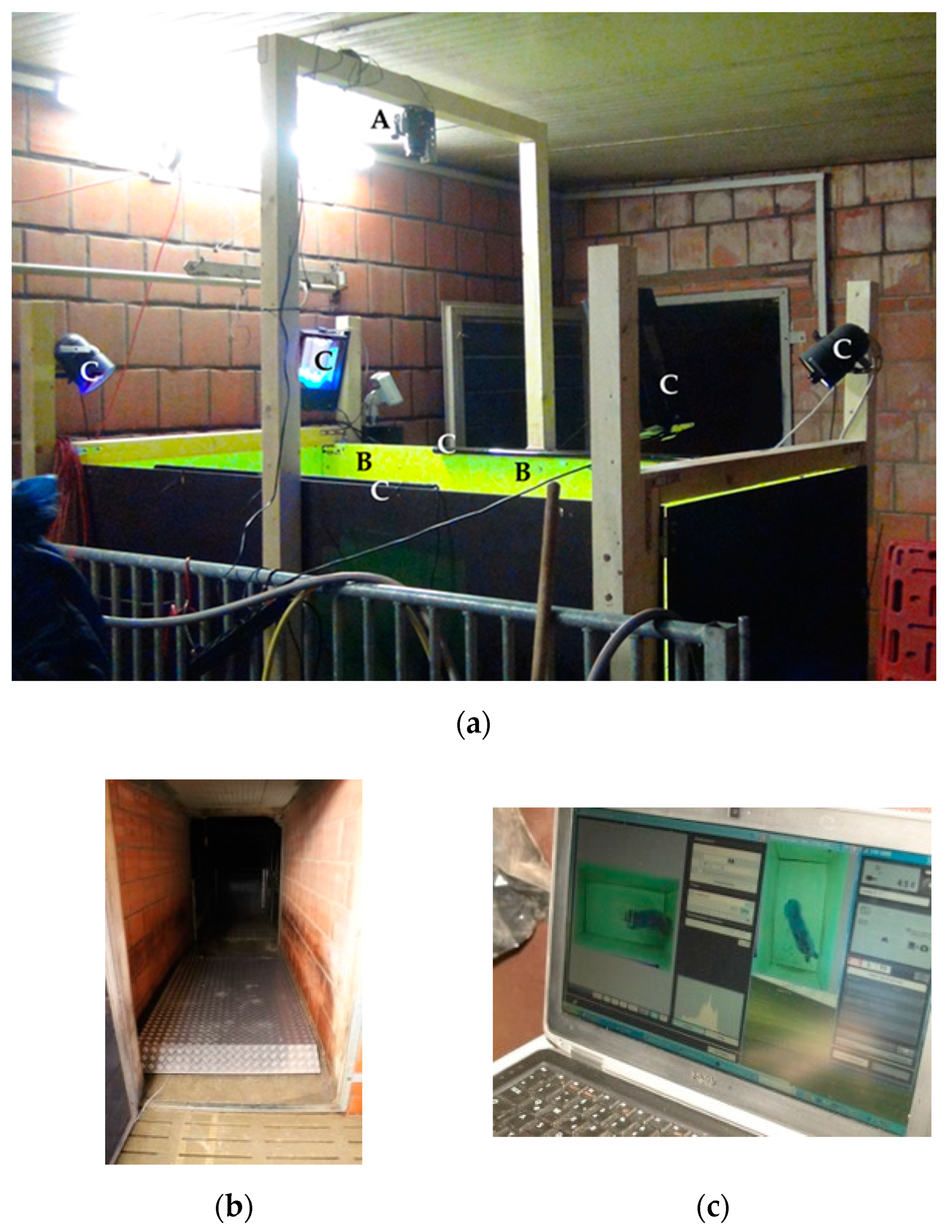 Agriculture 11 00020 g001 Agriculture 11 00020 g001