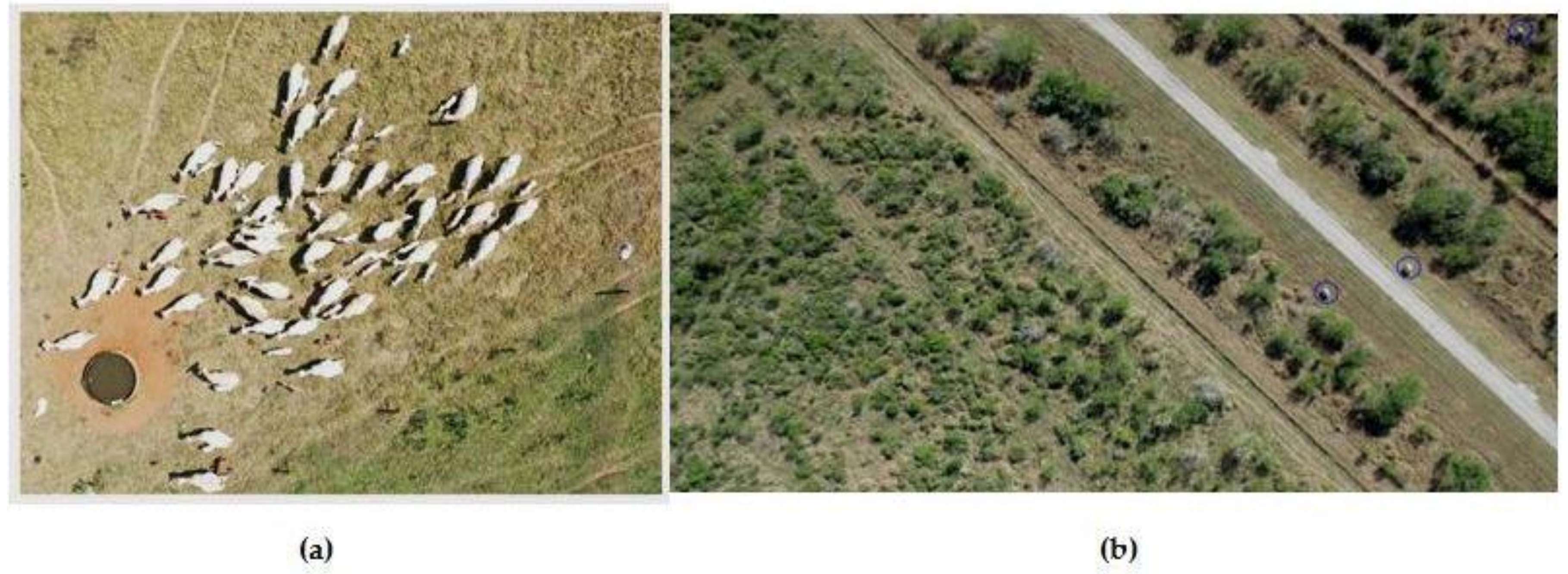 Agriculture 11 00022 g011 Agriculture 11 00022 g011