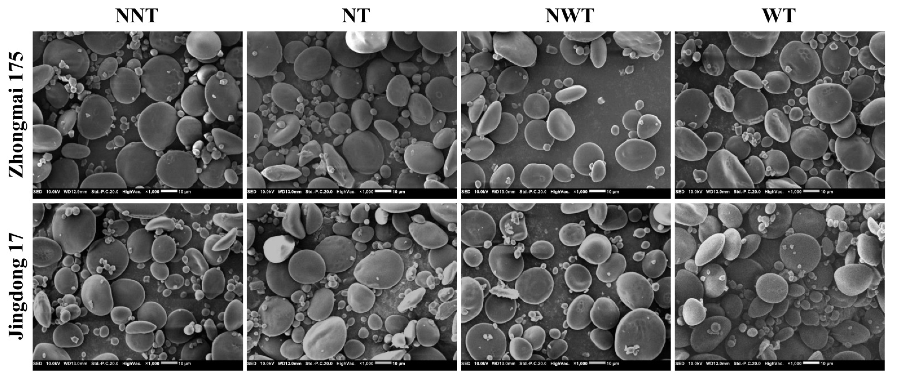 Agriculture 11 00026 g001 Agriculture 11 00026 g001