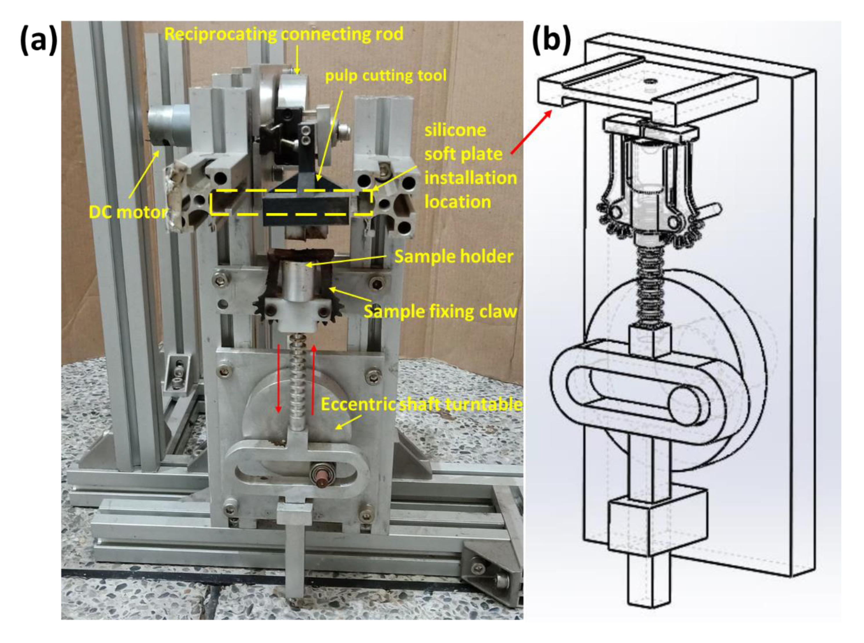 Agriculture 11 00048 g001