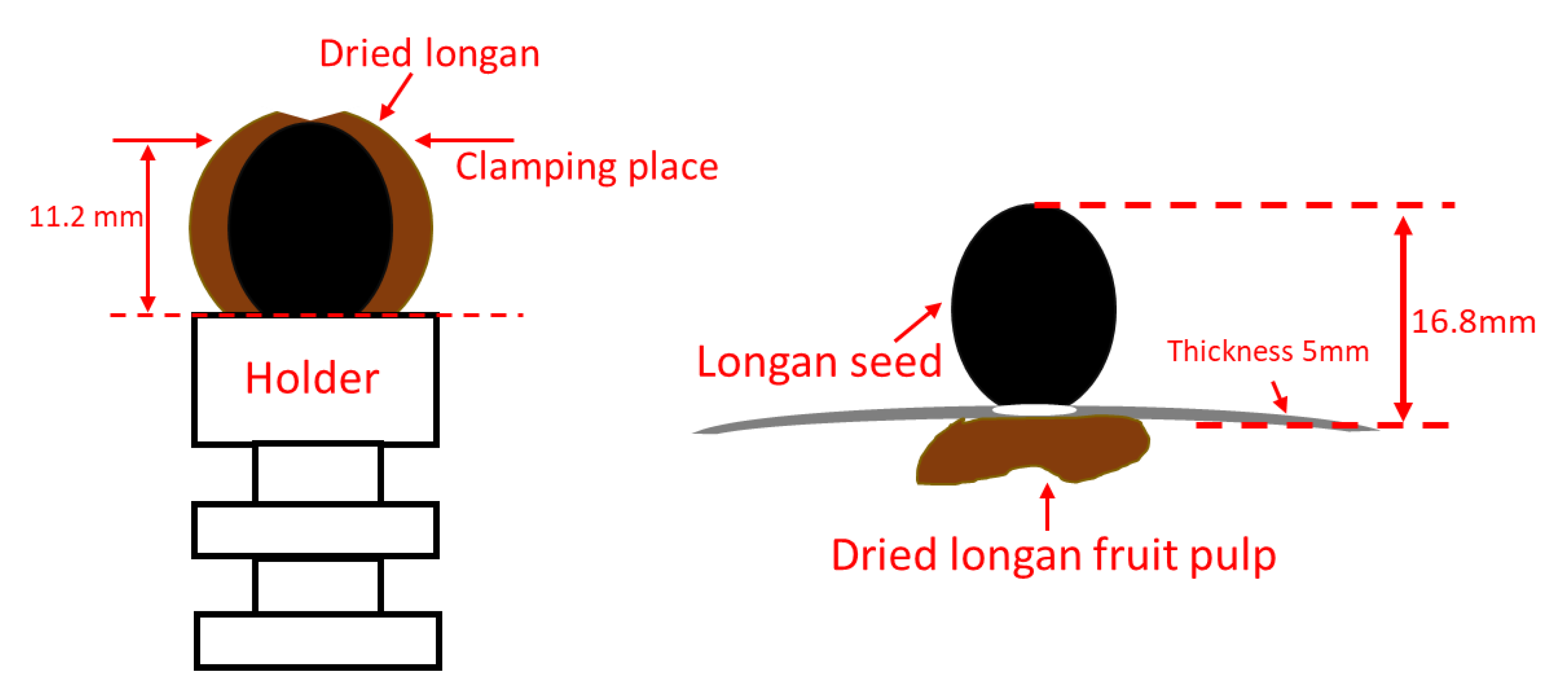 Agriculture 11 00048 g005