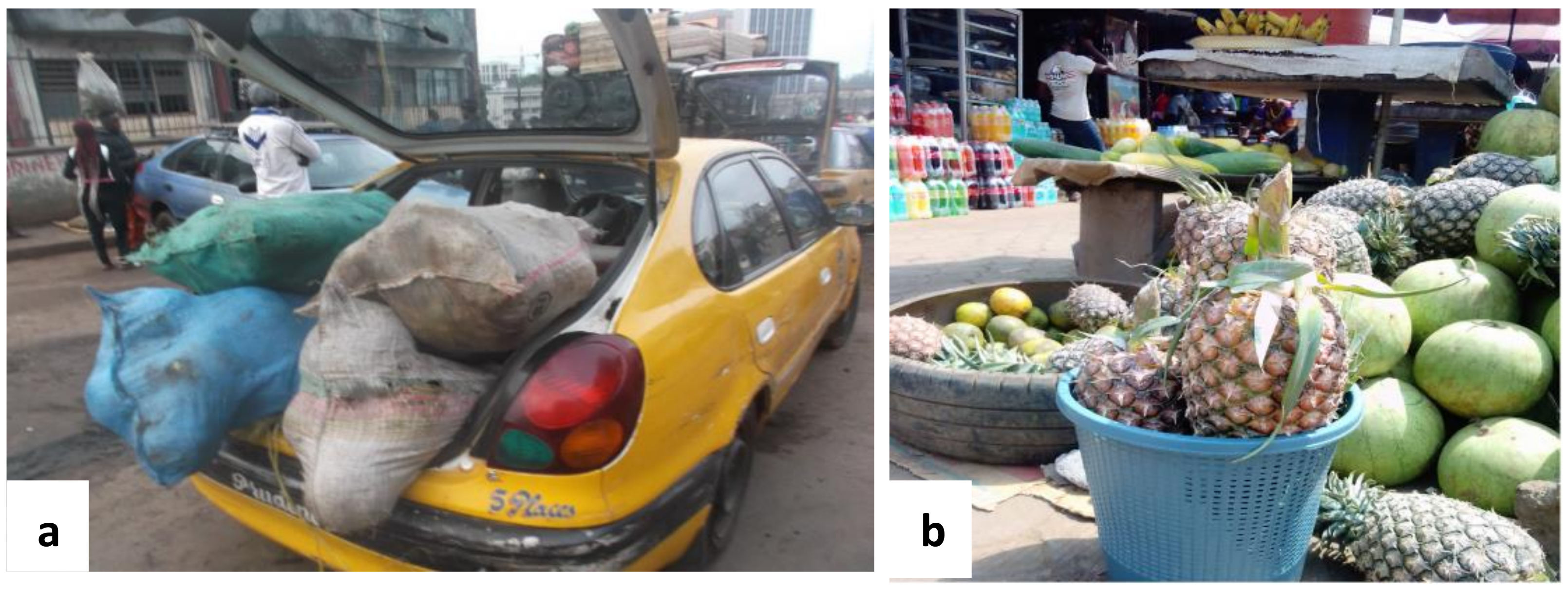 Agriculture 11 00089 g008 Agriculture 11 00089 g008