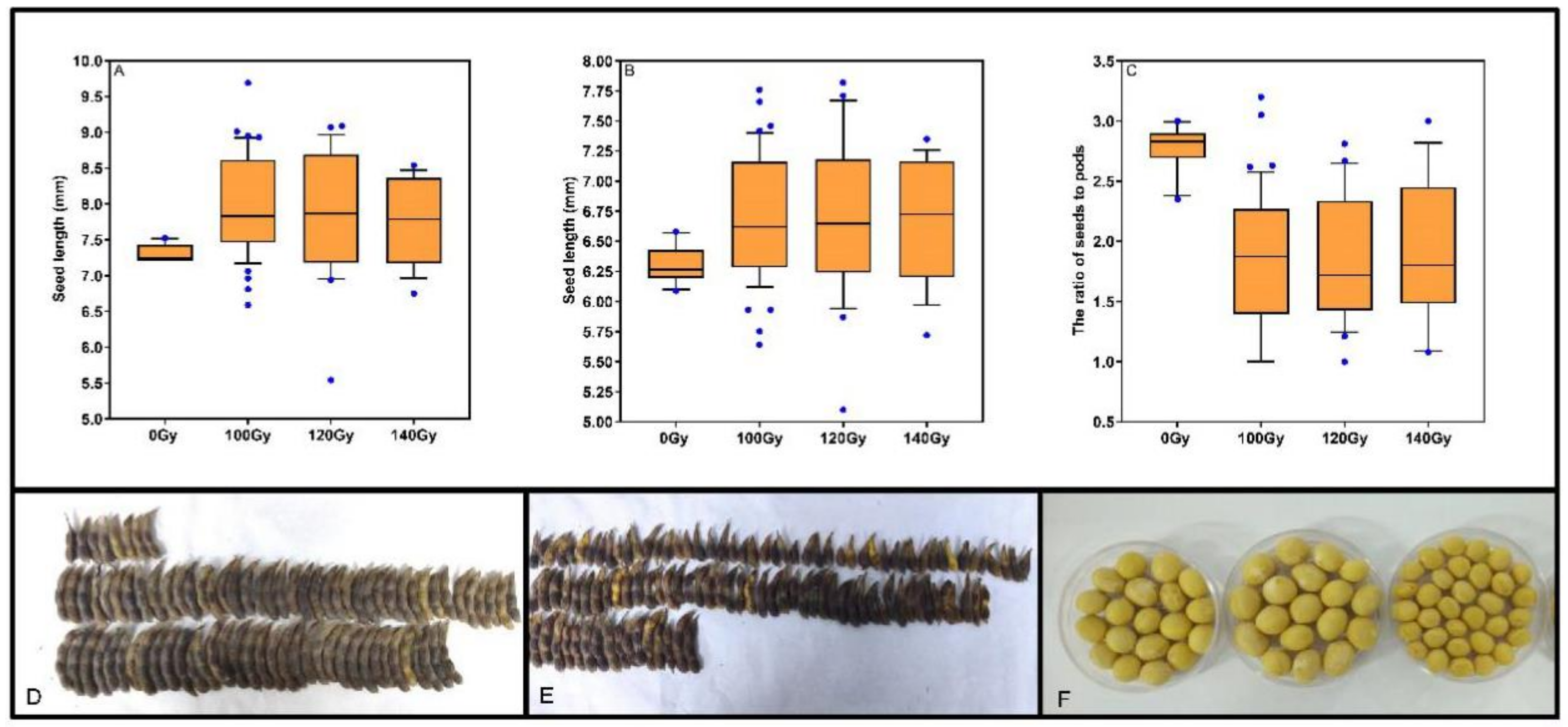 Agriculture 11 00098 g004