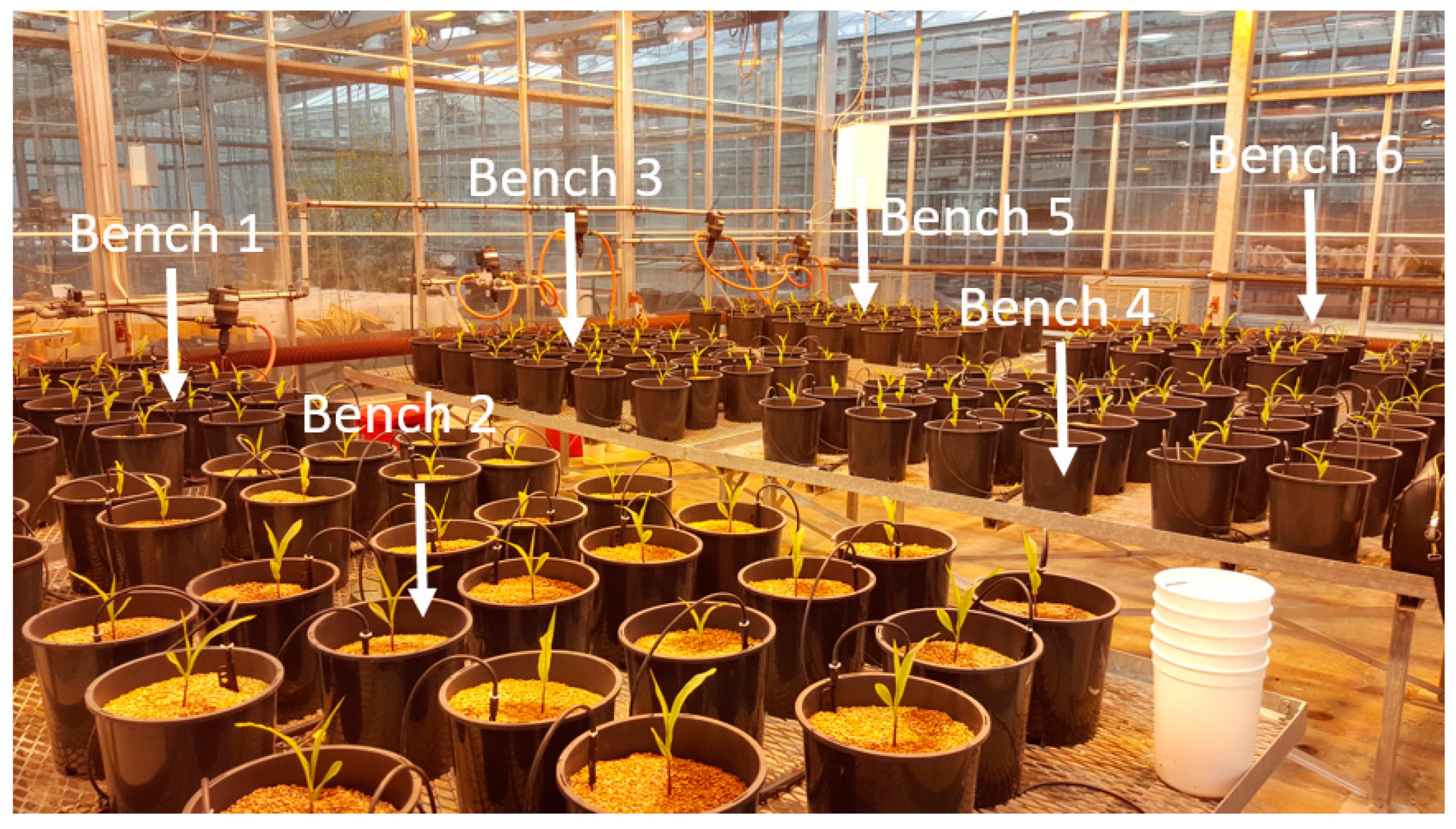 Agriculture 11 00101 g003