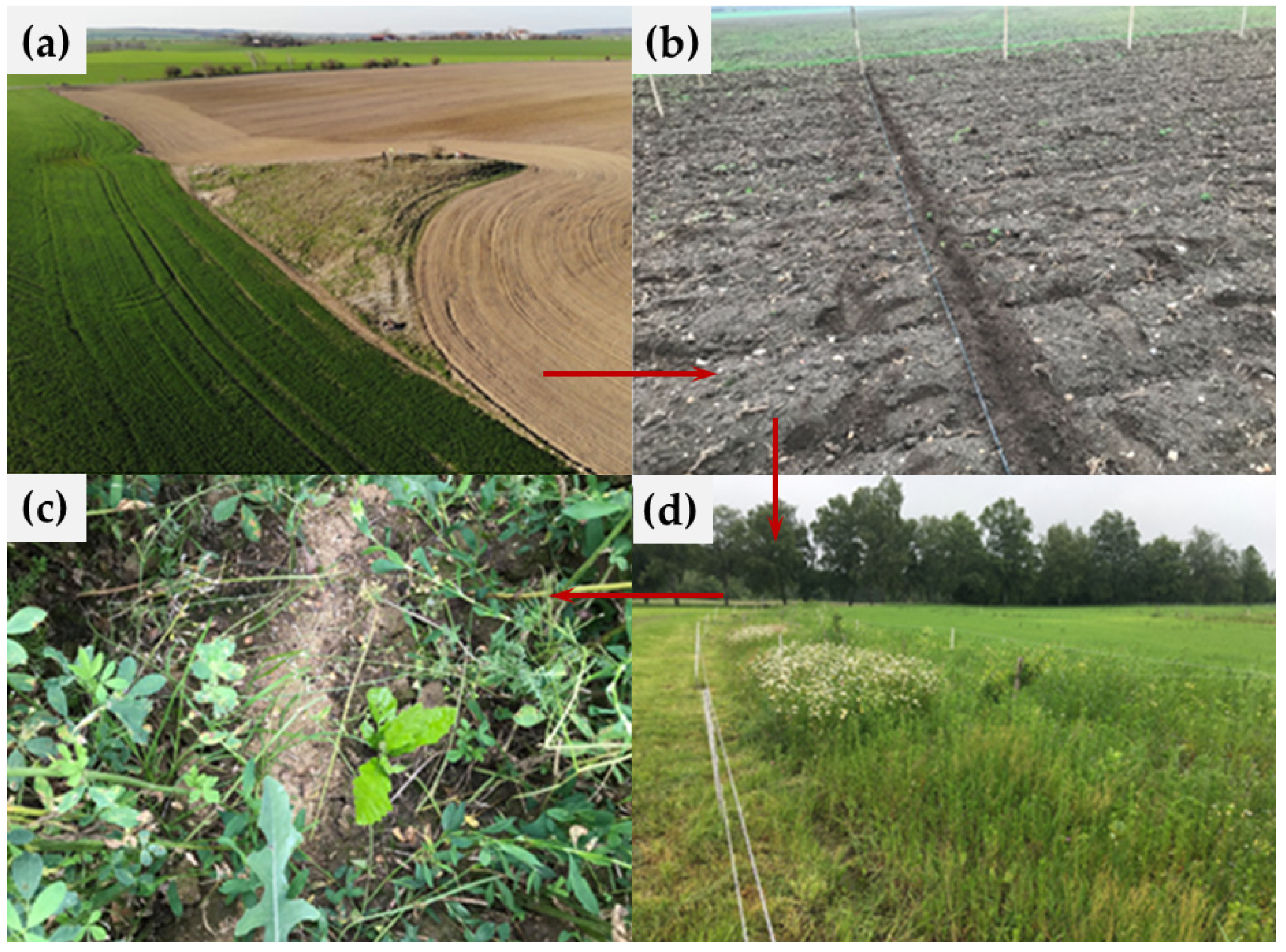 Agriculture 11 00105 g002 Agriculture 11 00105 g002