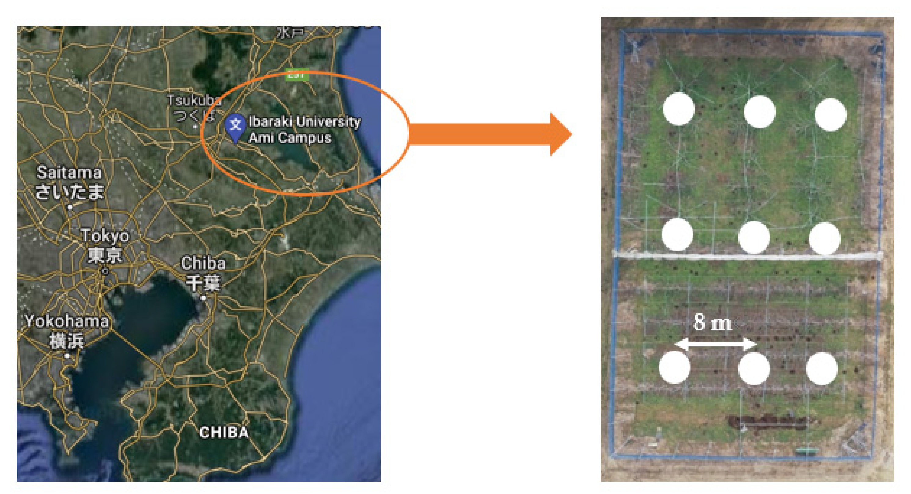 Agriculture 11 00113 g001