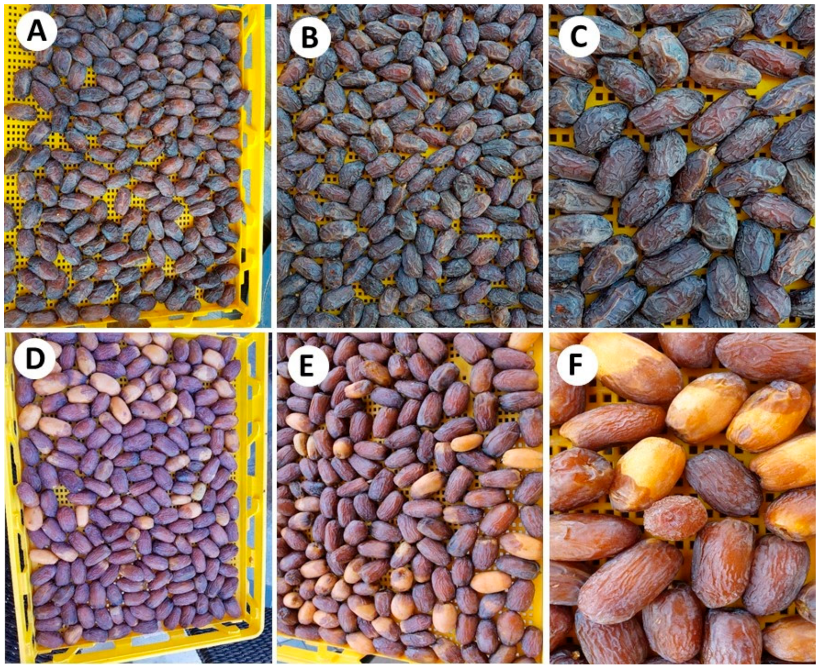 Agriculture 11 00115 g001