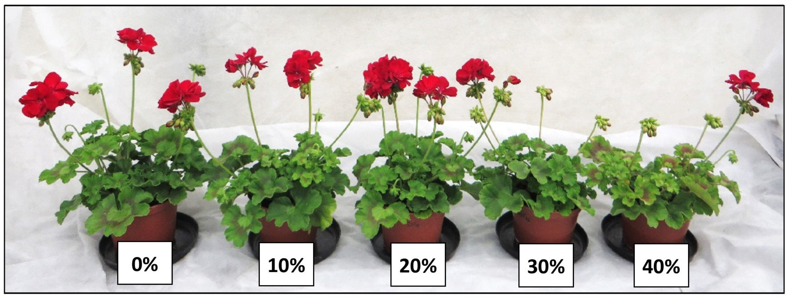 Agriculture 11 00119 g007