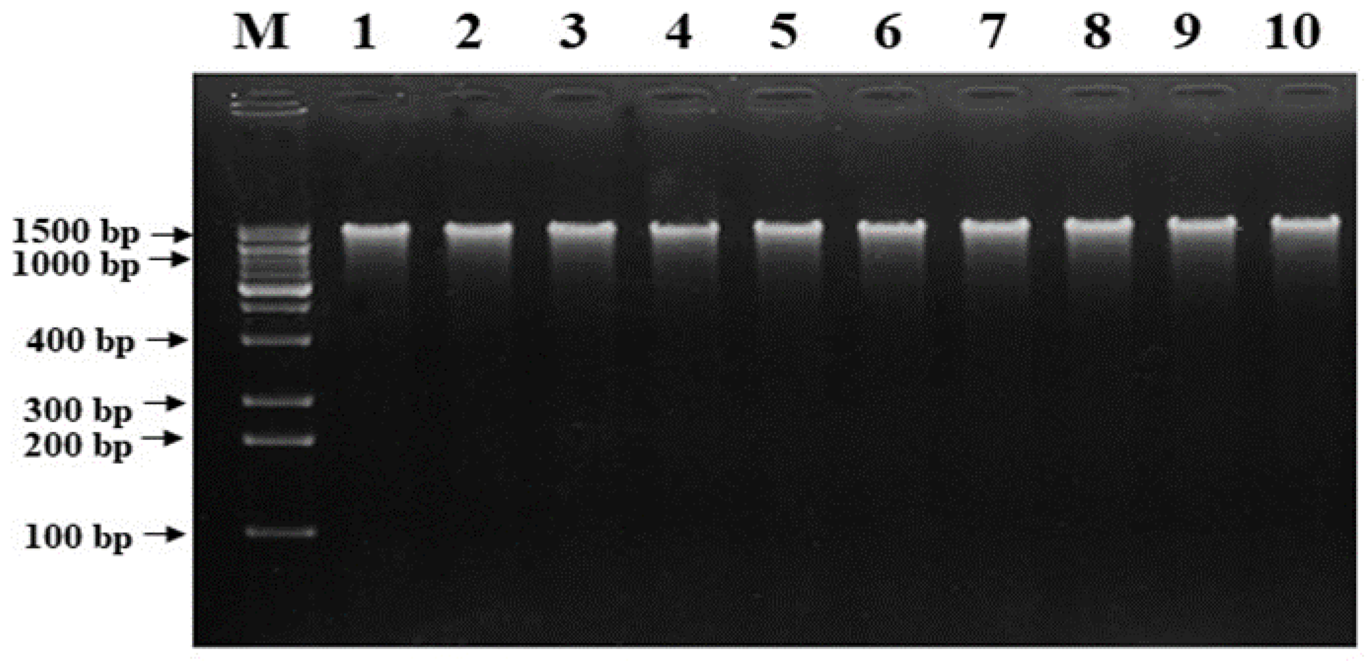 Agriculture 11 00125 g002