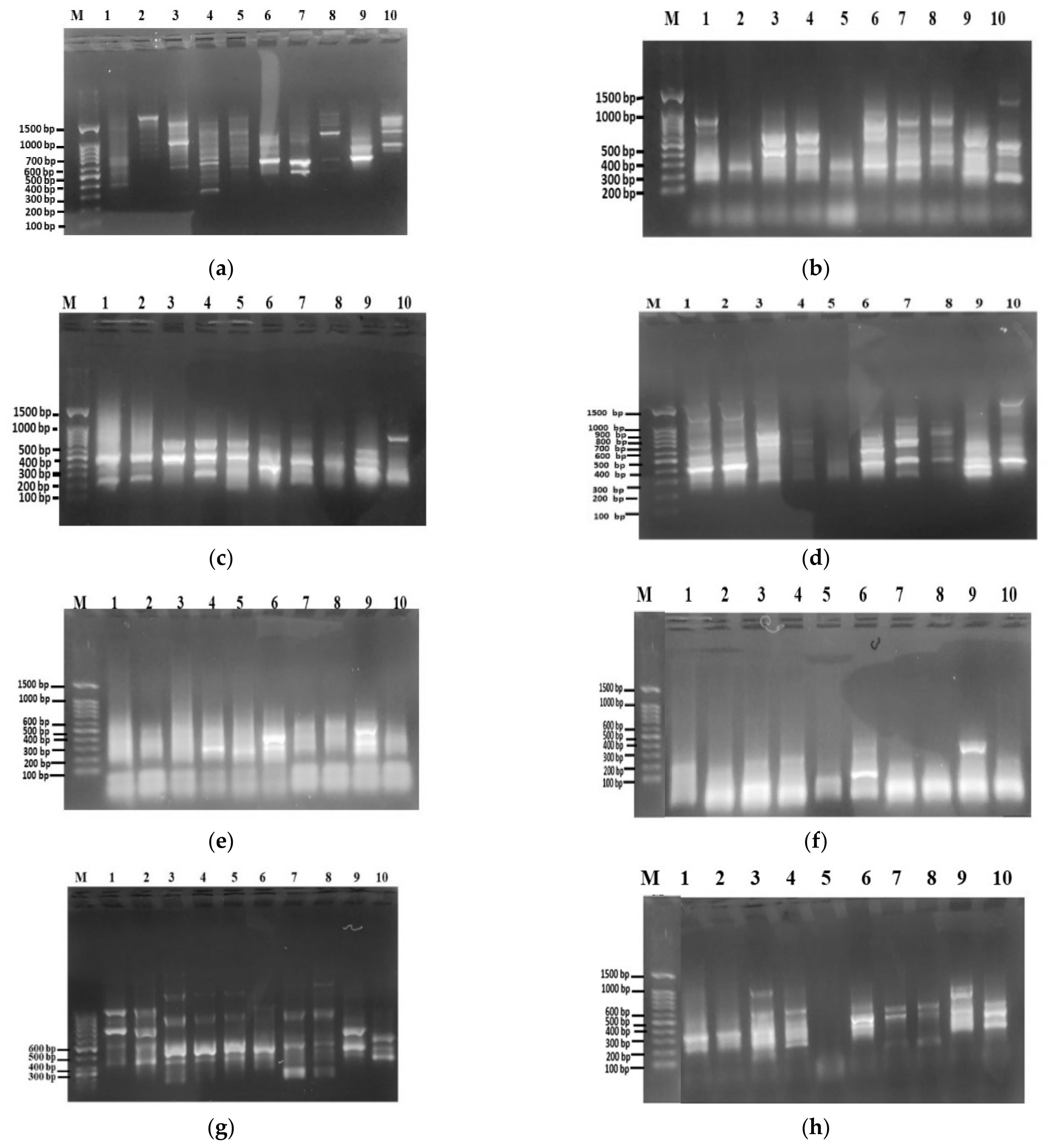 Agriculture 11 00125 g003