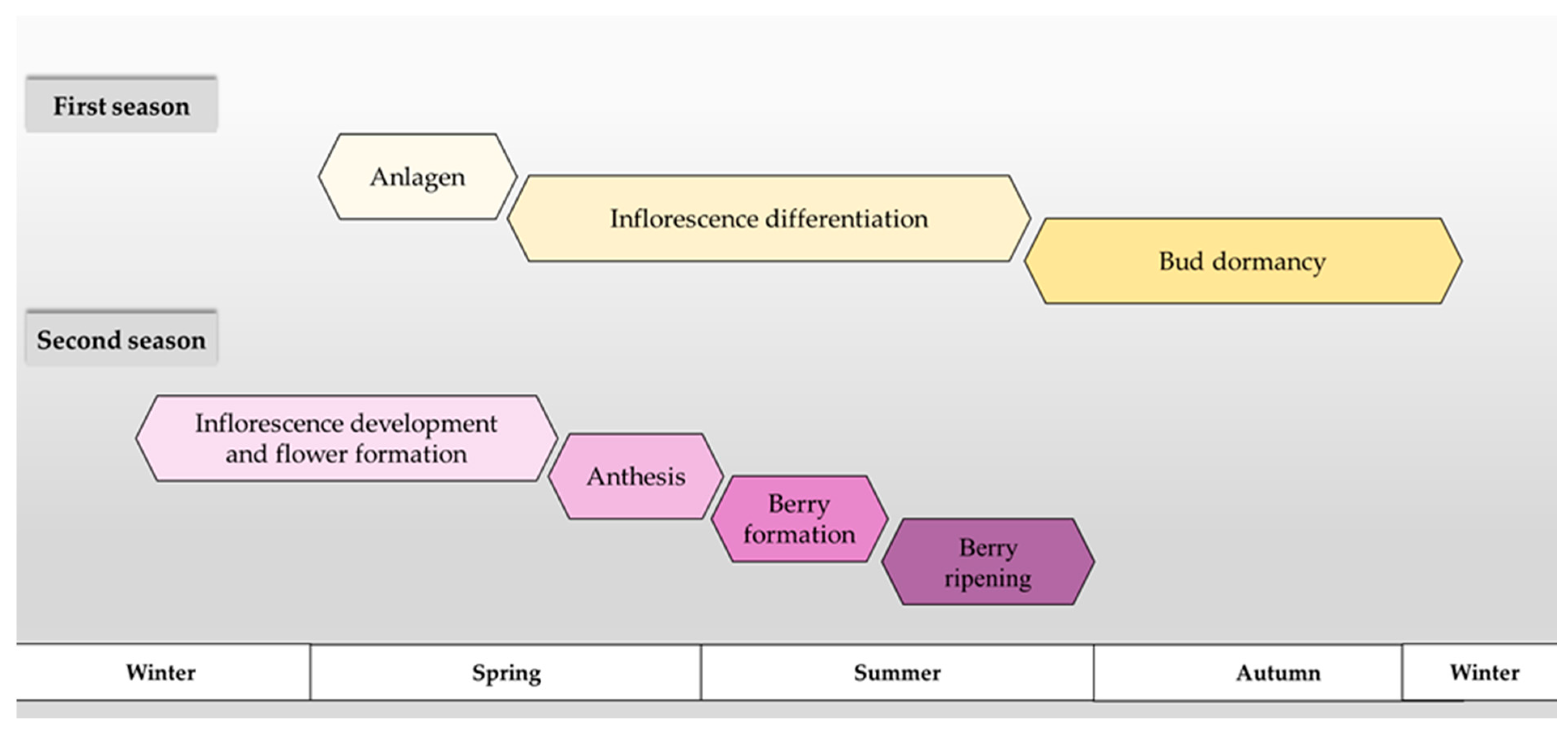 Agriculture 11 00127 g001 Agriculture 11 00127 g001