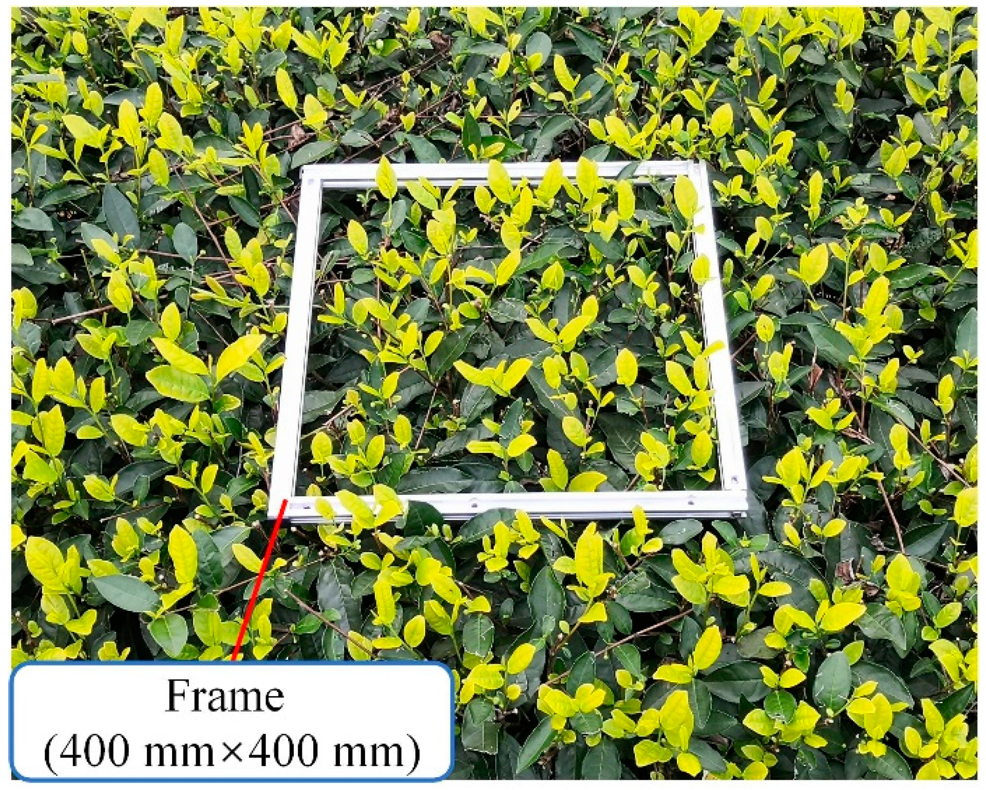 Agriculture 11 00128 g004