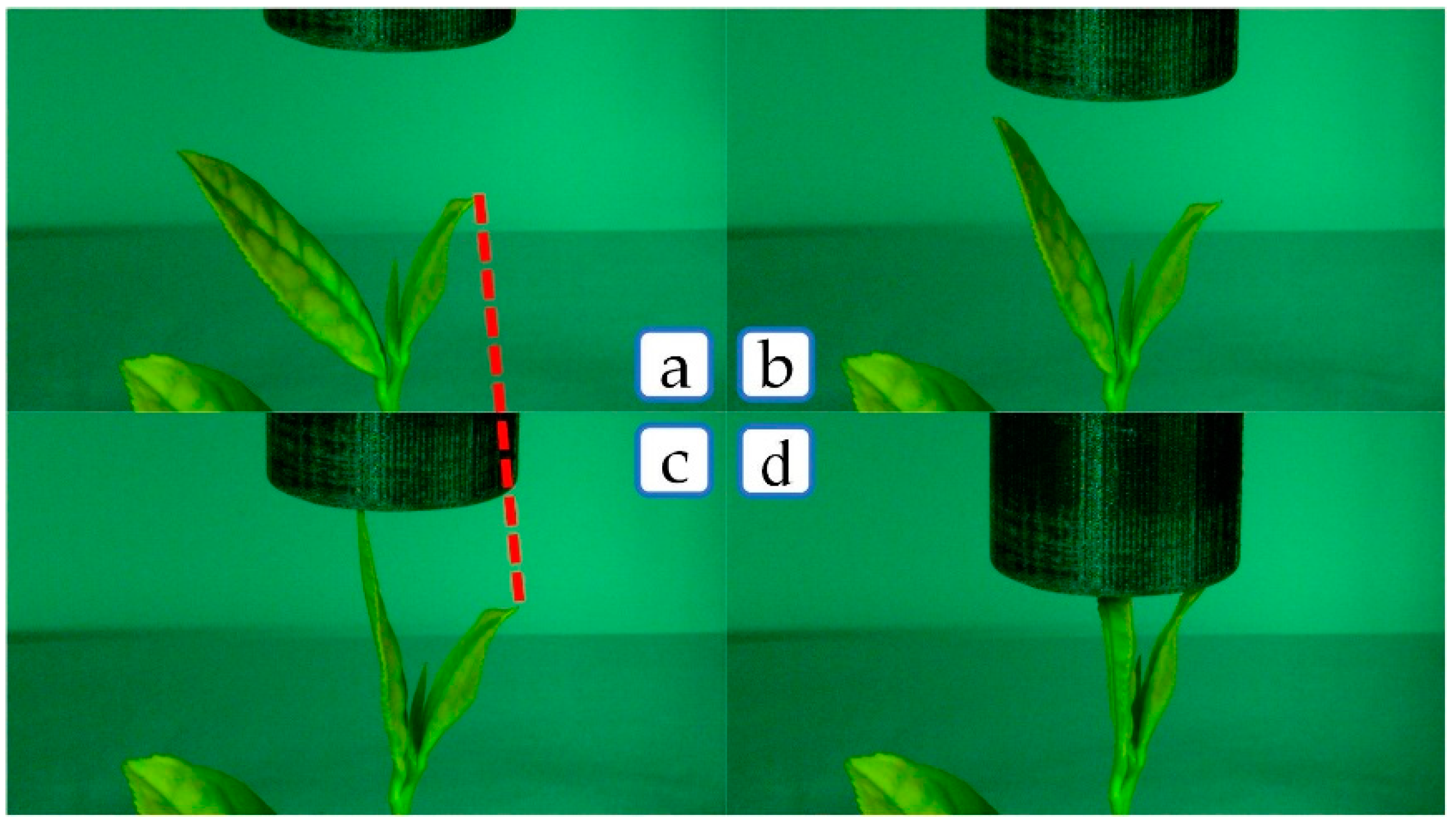 Agriculture 11 00128 g015