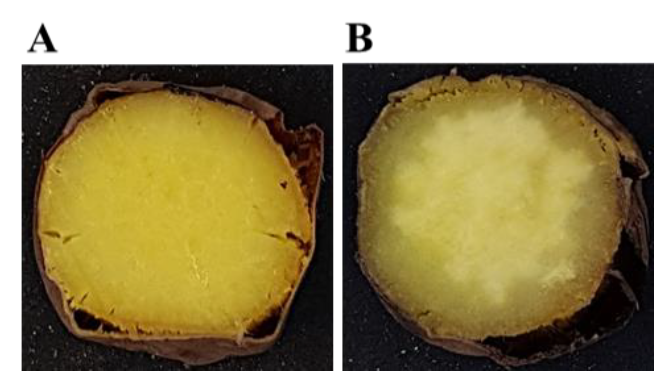 Agriculture 11 00135 g004 Agriculture 11 00135 g004