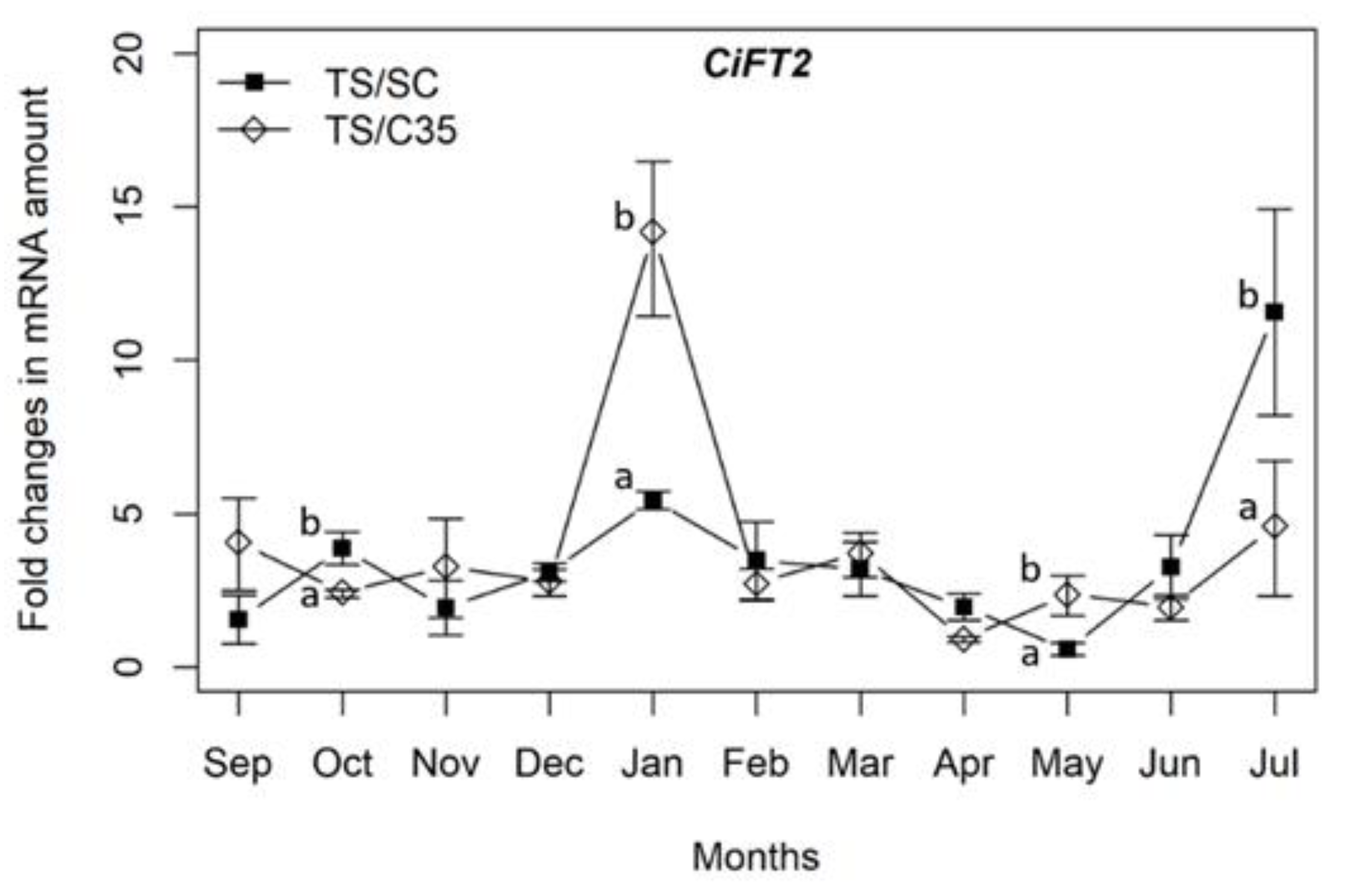 Agriculture 11 00140 g001