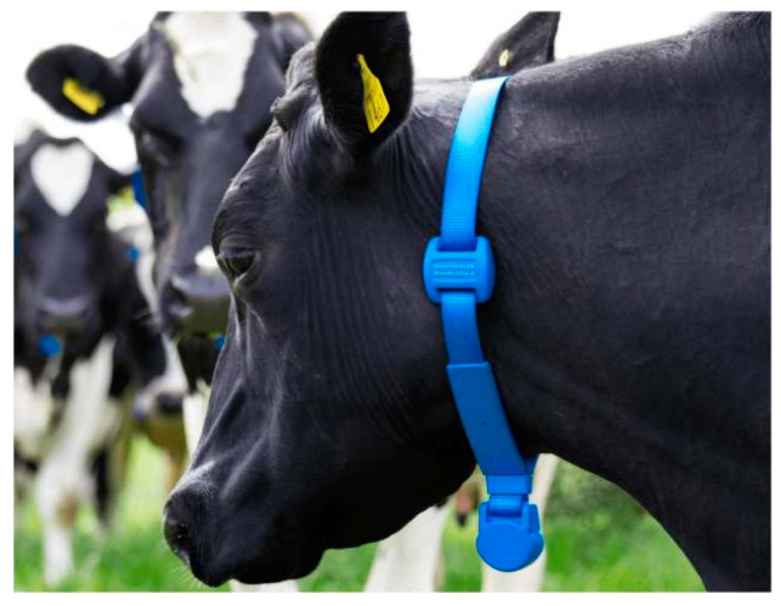 Agriculture 11 00145 g003