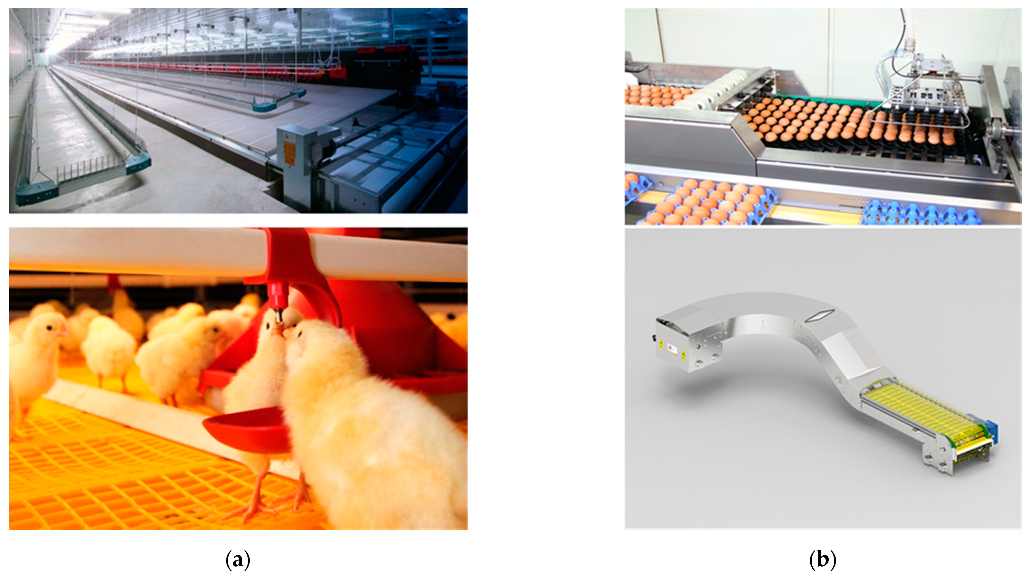 Agriculture 11 00145 g005