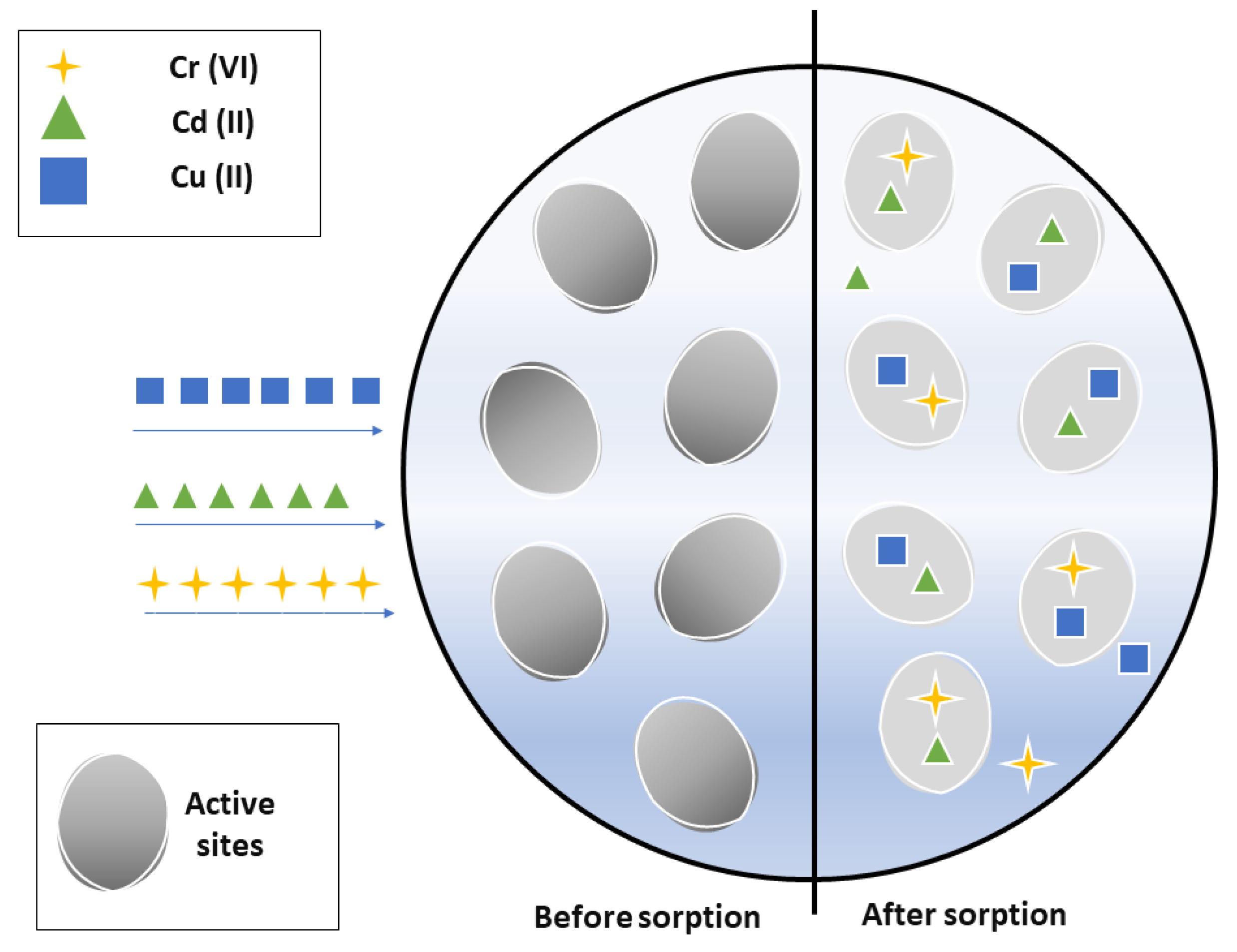 Agriculture 11 00146 g002