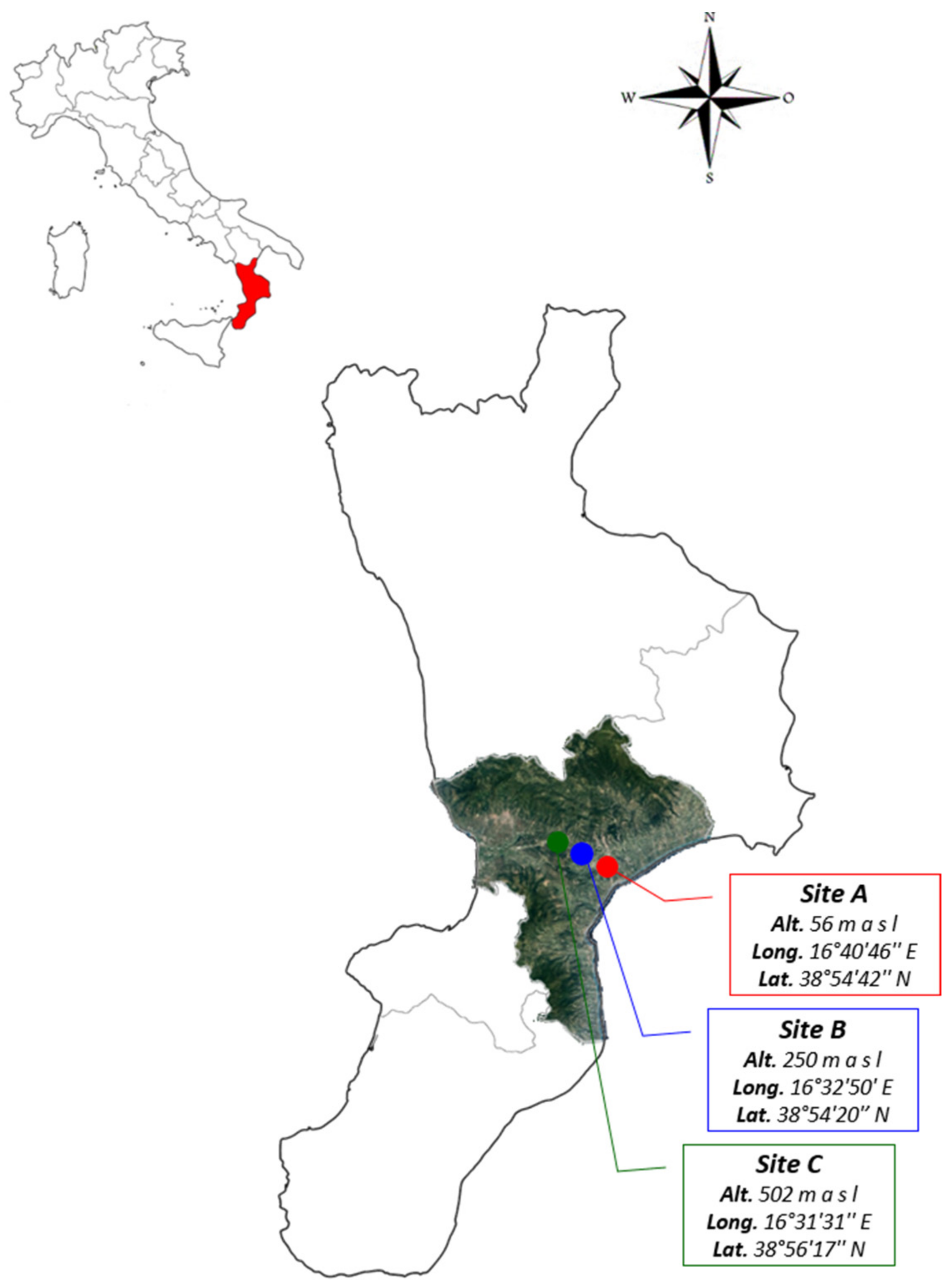 Agriculture 11 00147 g001