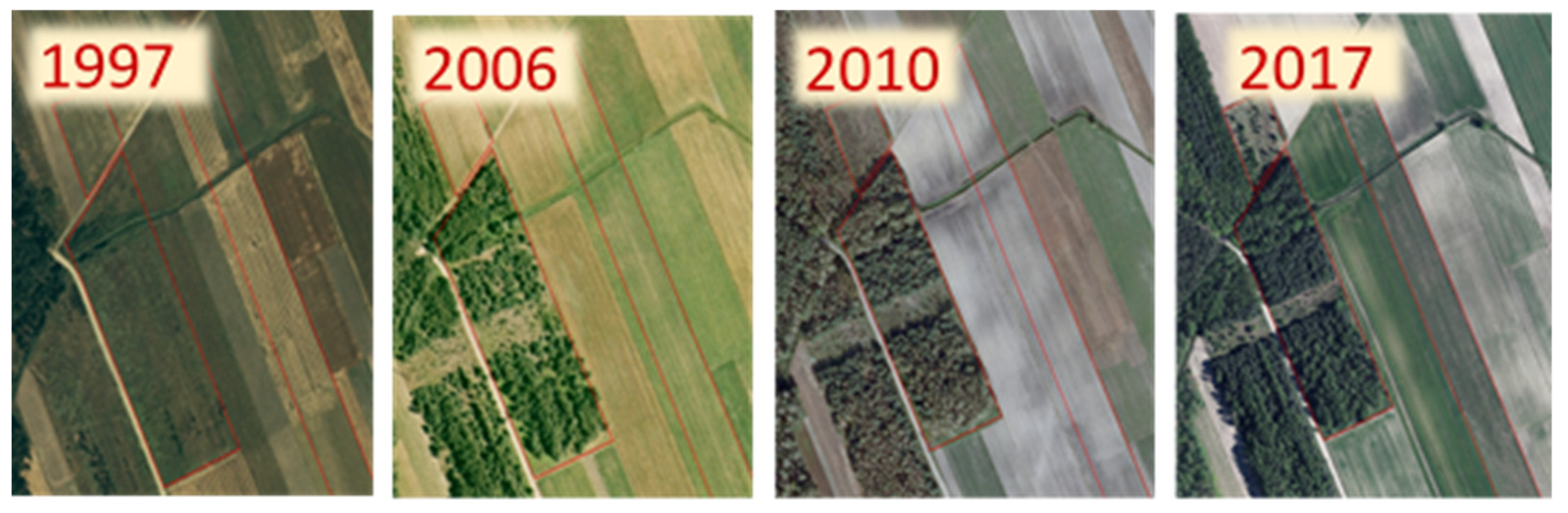 Agriculture 11 00148 g002