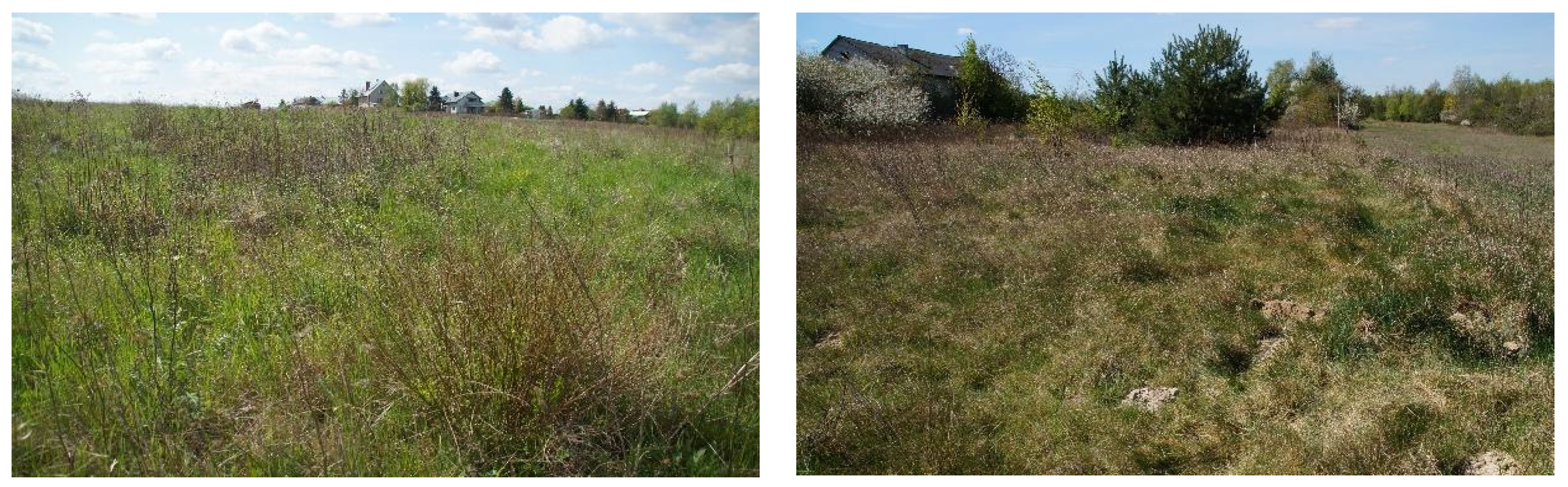 Agriculture 11 00148 g003