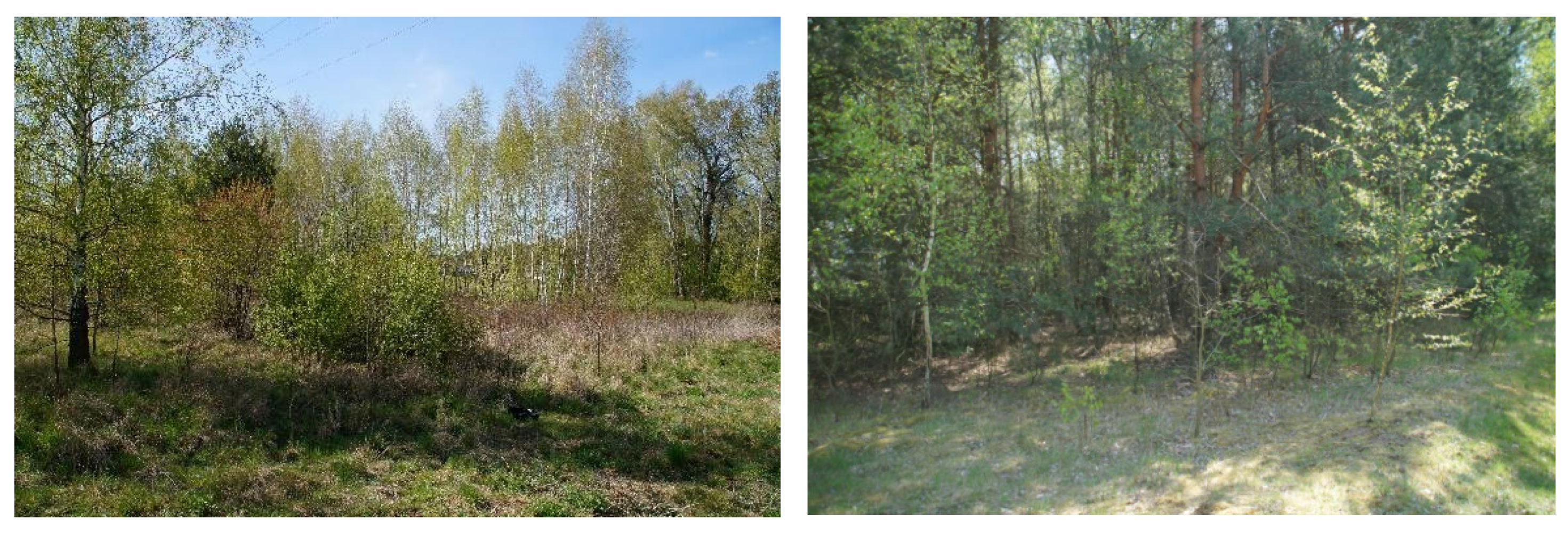 Agriculture 11 00148 g006