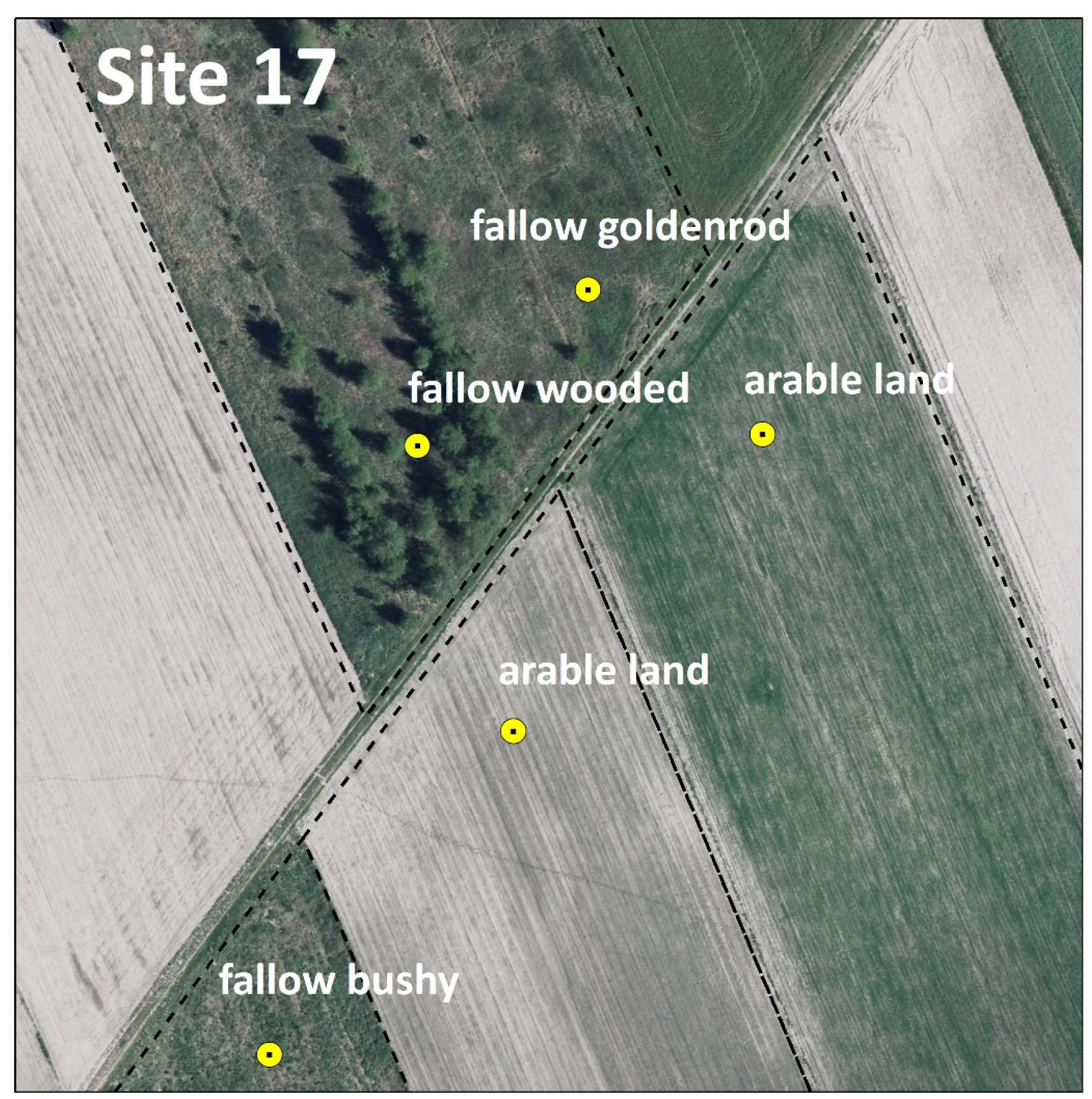 Agriculture 11 00148 g007