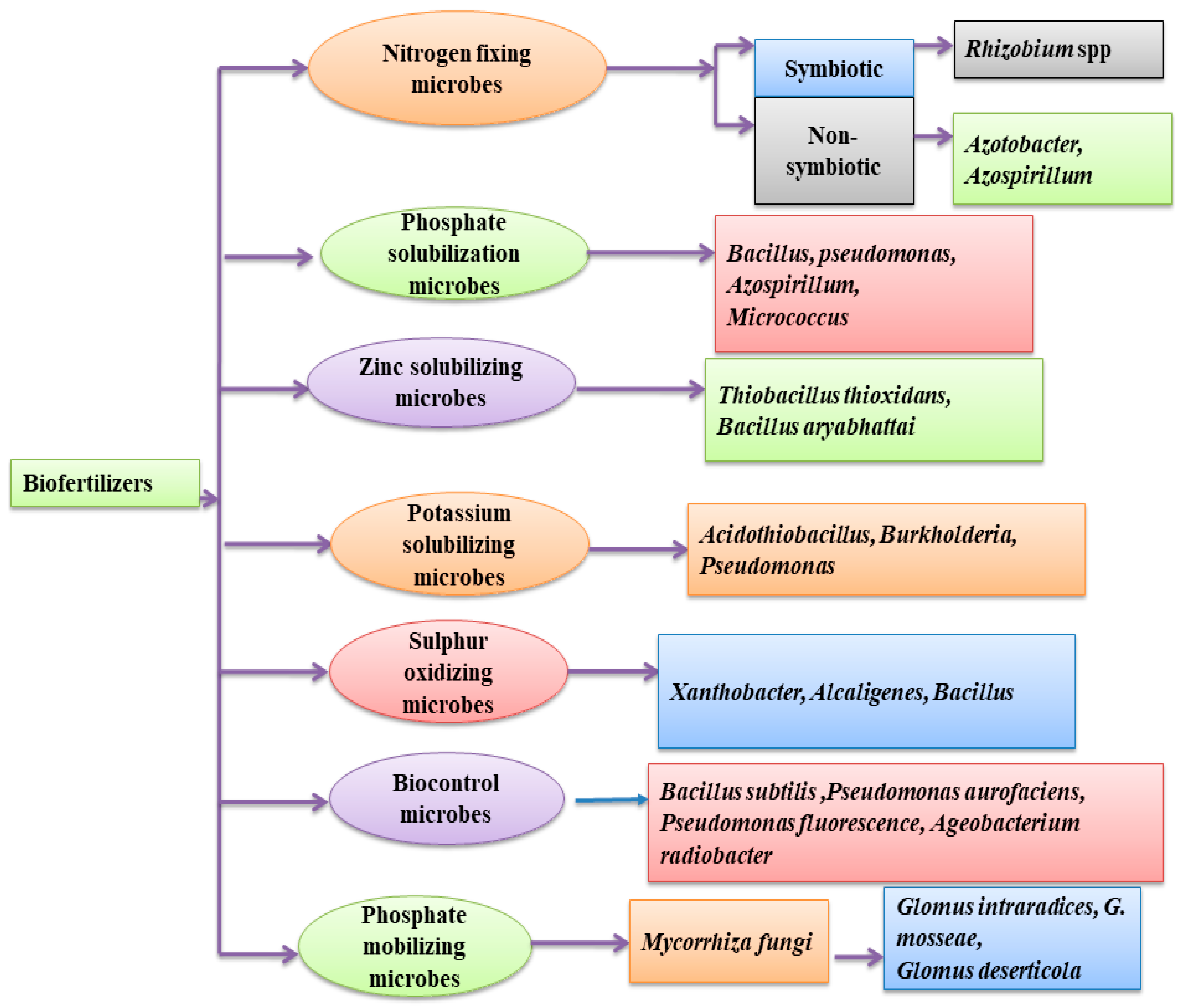 Agriculture 11 00163 g002