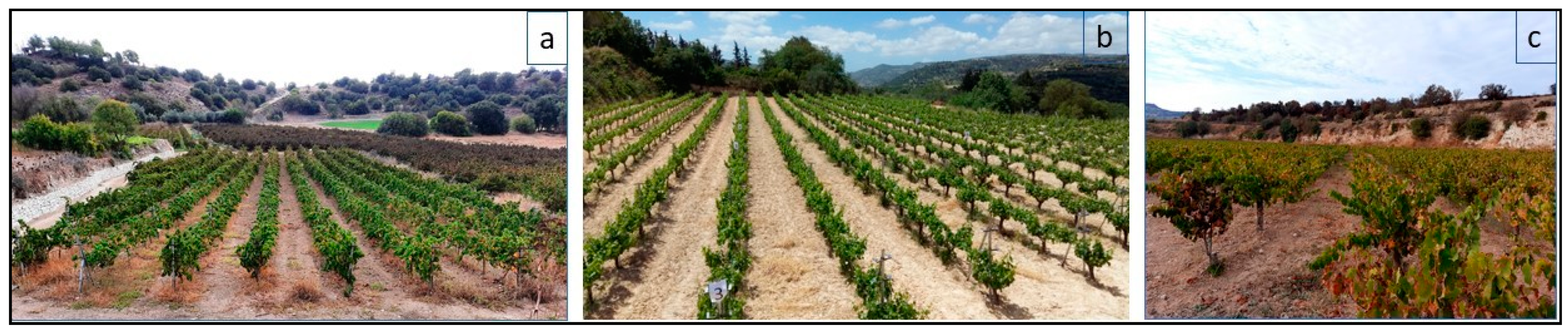 Agriculture 11 00178 g001