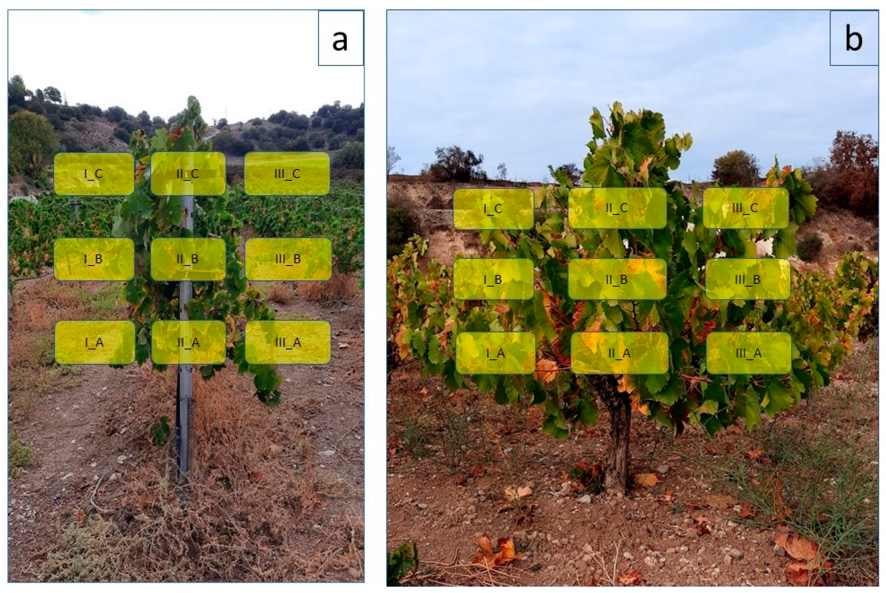 Agriculture 11 00178 g004