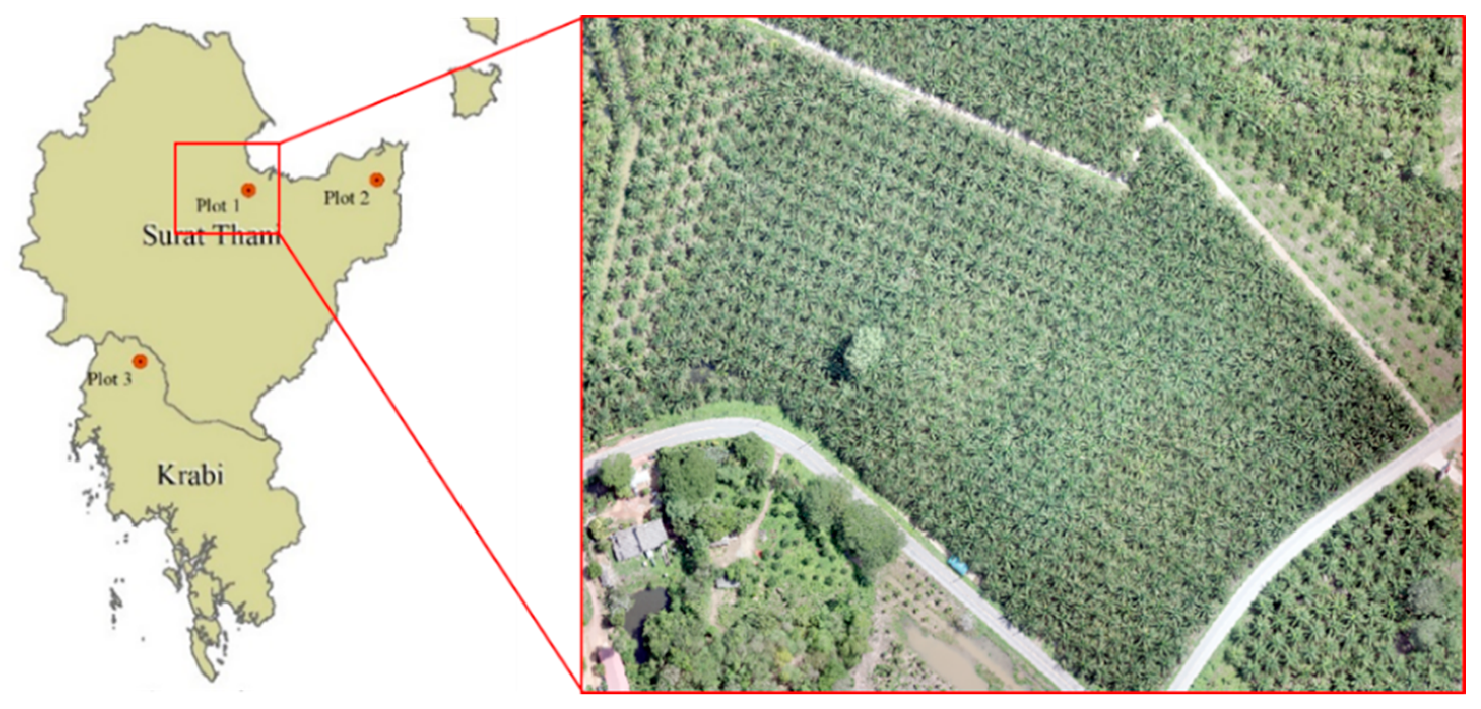 Agriculture 11 00183 g002