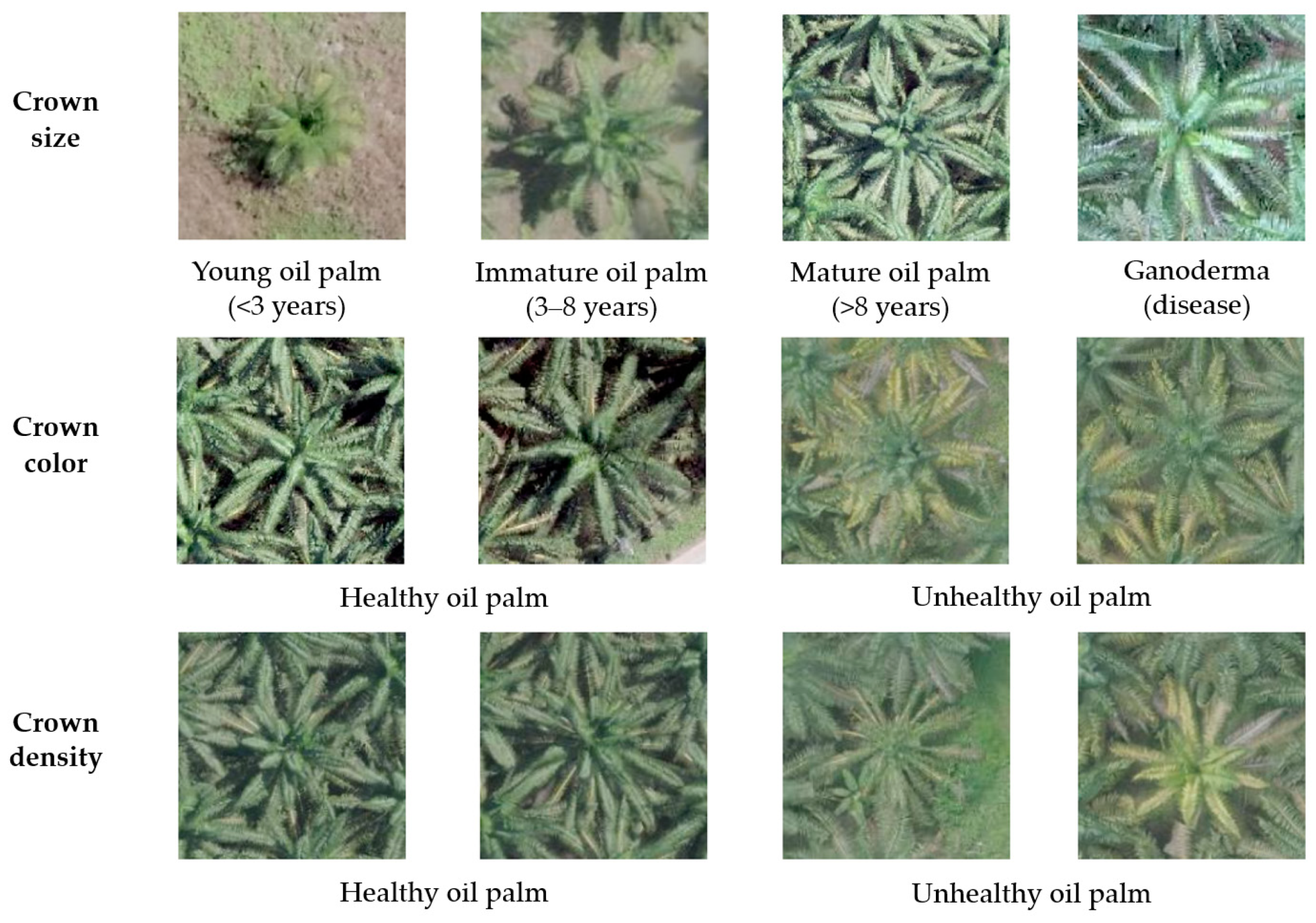 Agriculture 11 00183 g008