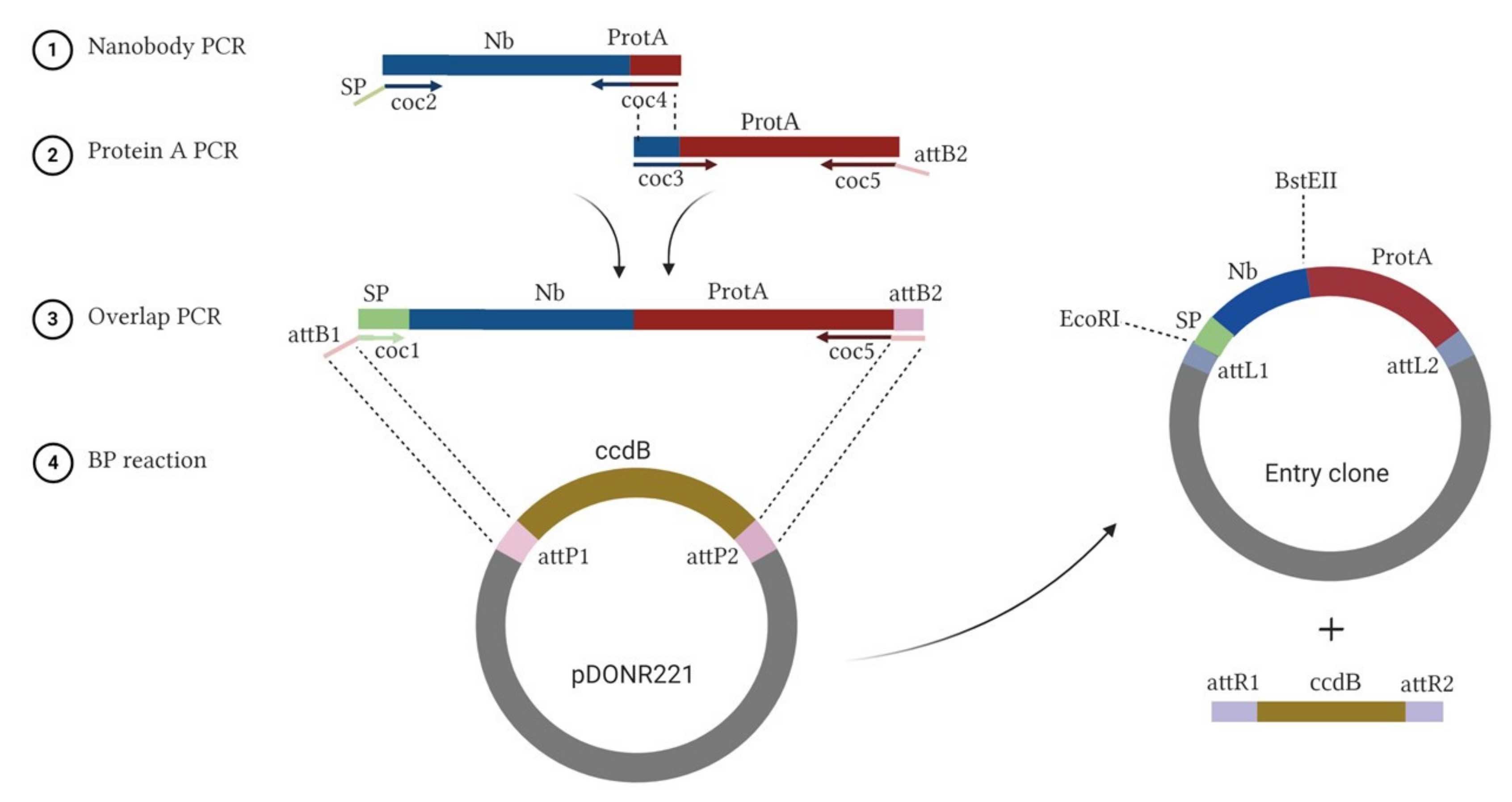 Agriculture 11 00186 g001 Agriculture 11 00186 g001