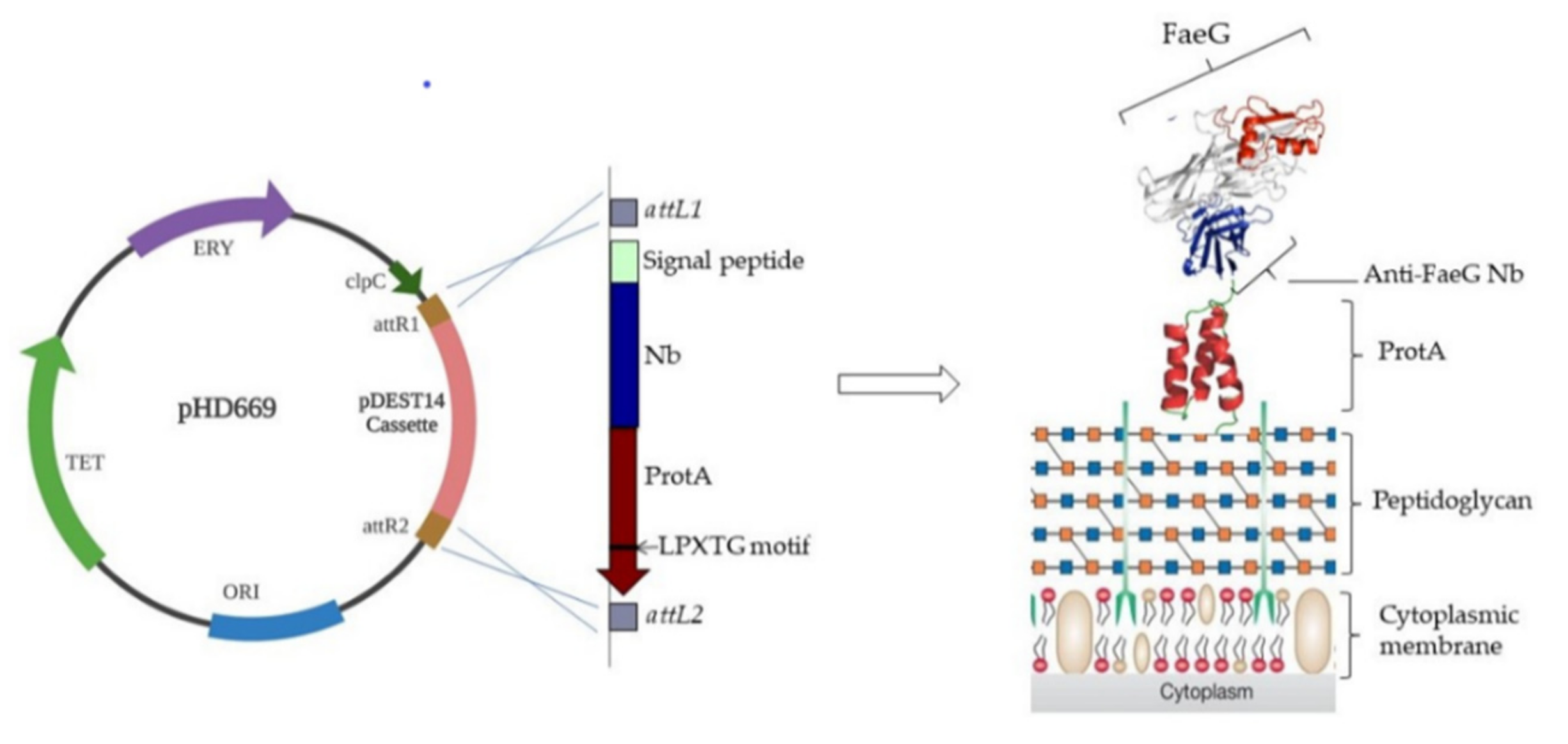 Agriculture 11 00186 g002 Agriculture 11 00186 g002