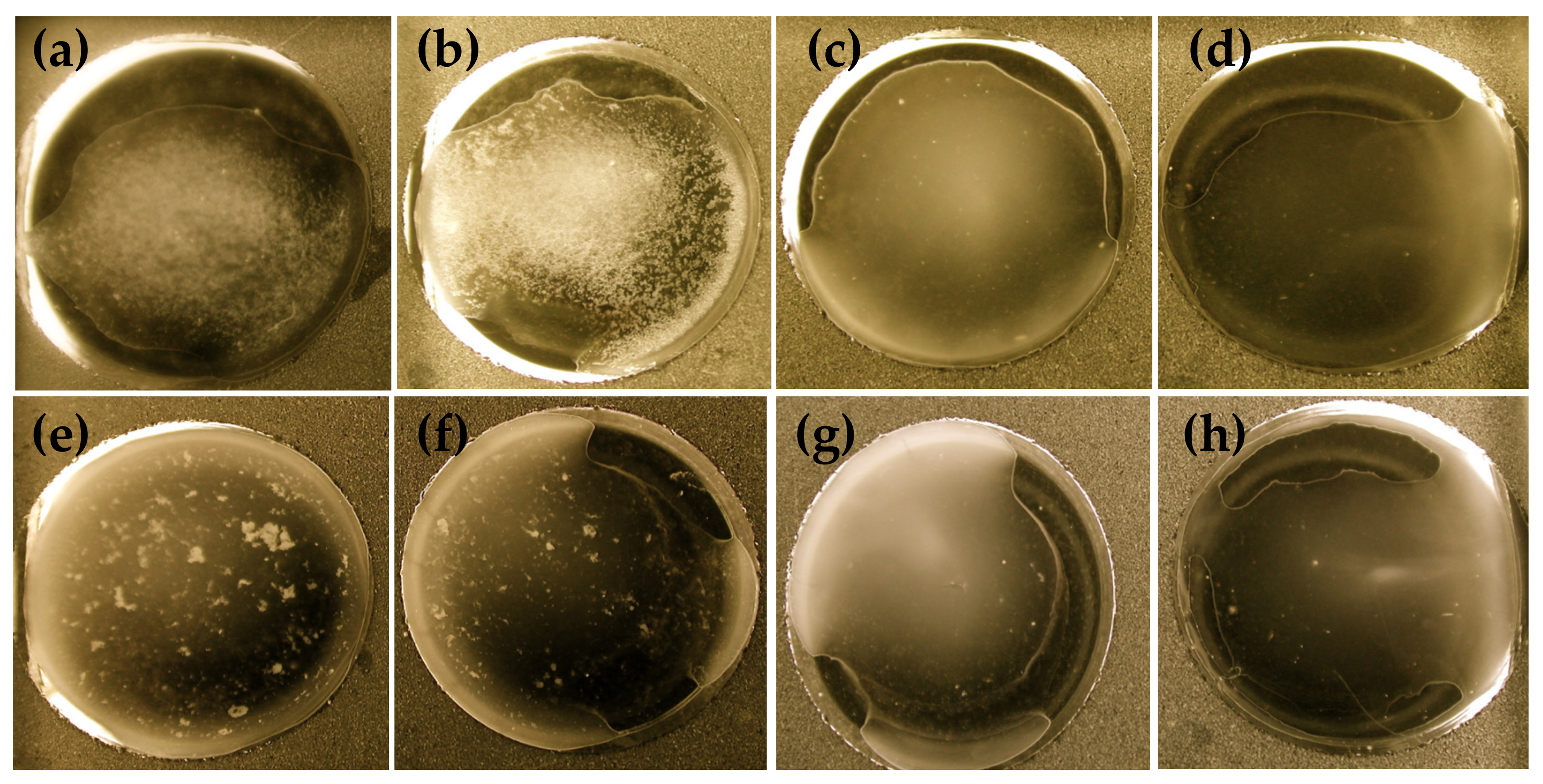 Agriculture 11 00186 g003 Agriculture 11 00186 g003