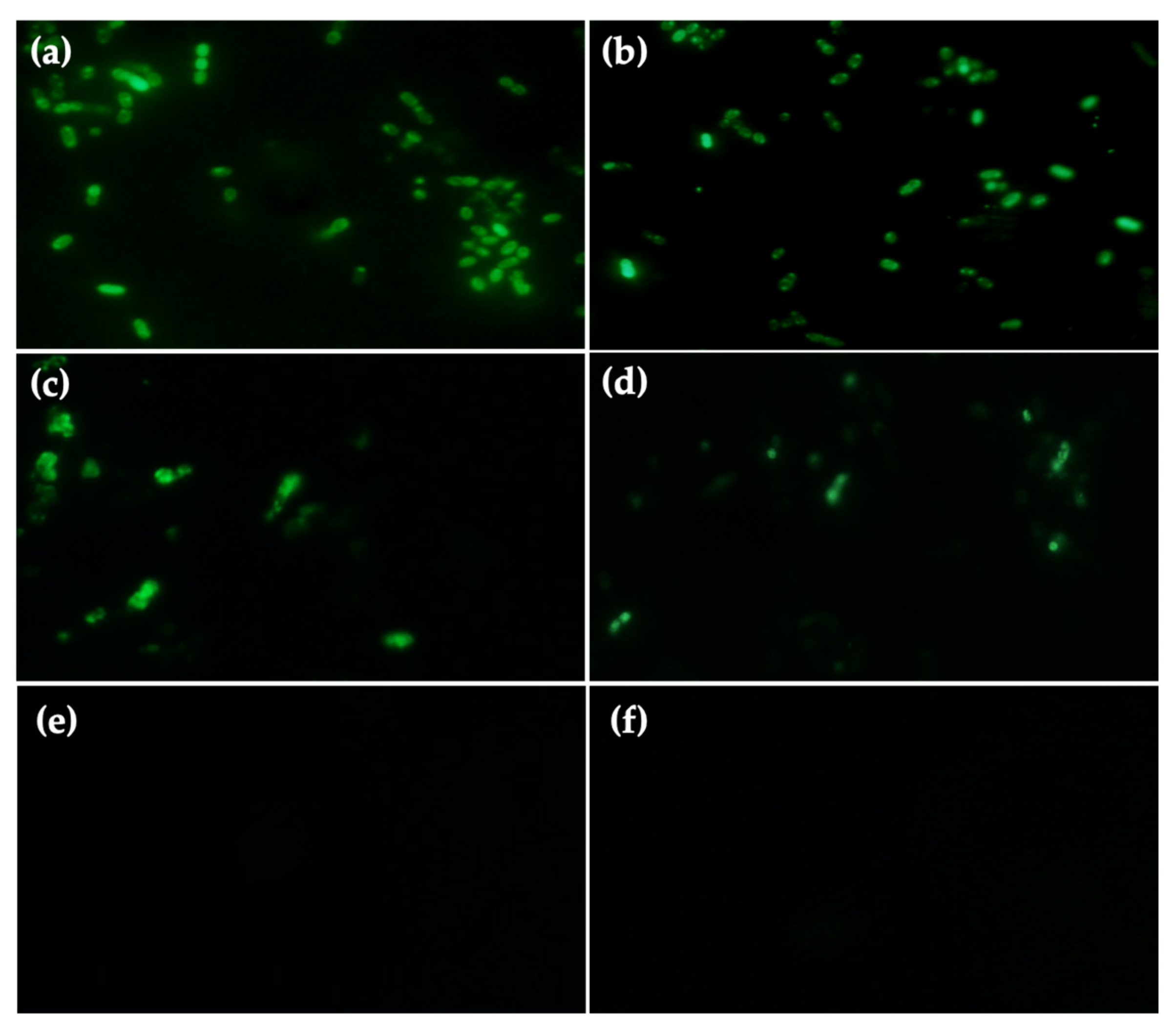 Agriculture 11 00186 g004 Agriculture 11 00186 g004