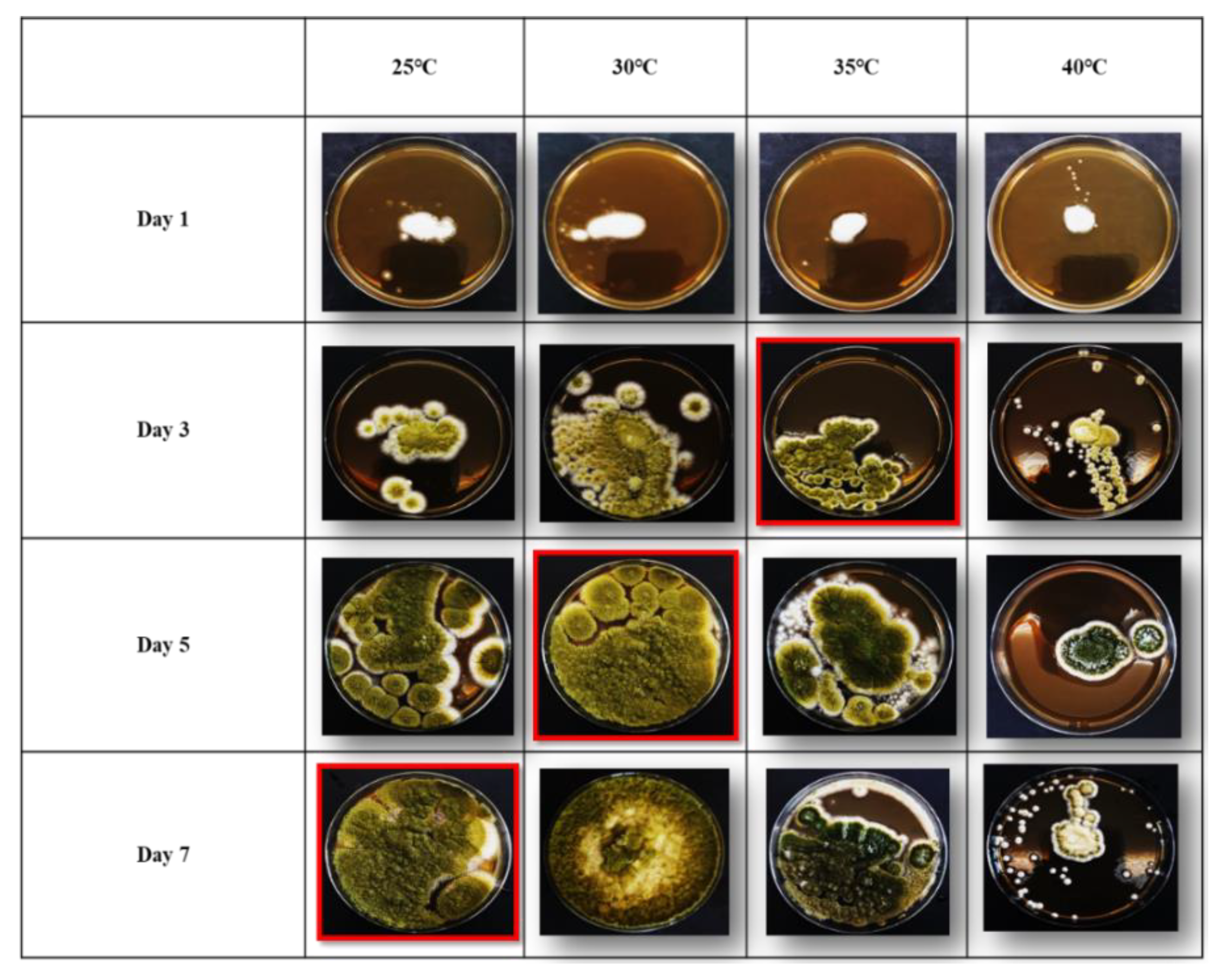 Agriculture 11 00198 g001